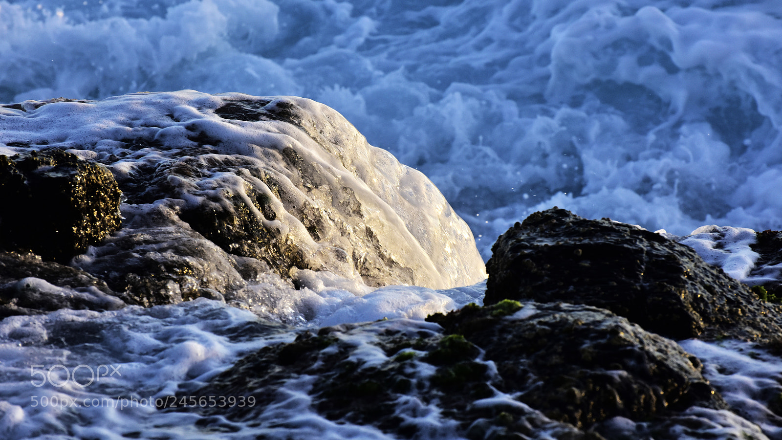 Nikon D810 sample photo. Spot of light photography