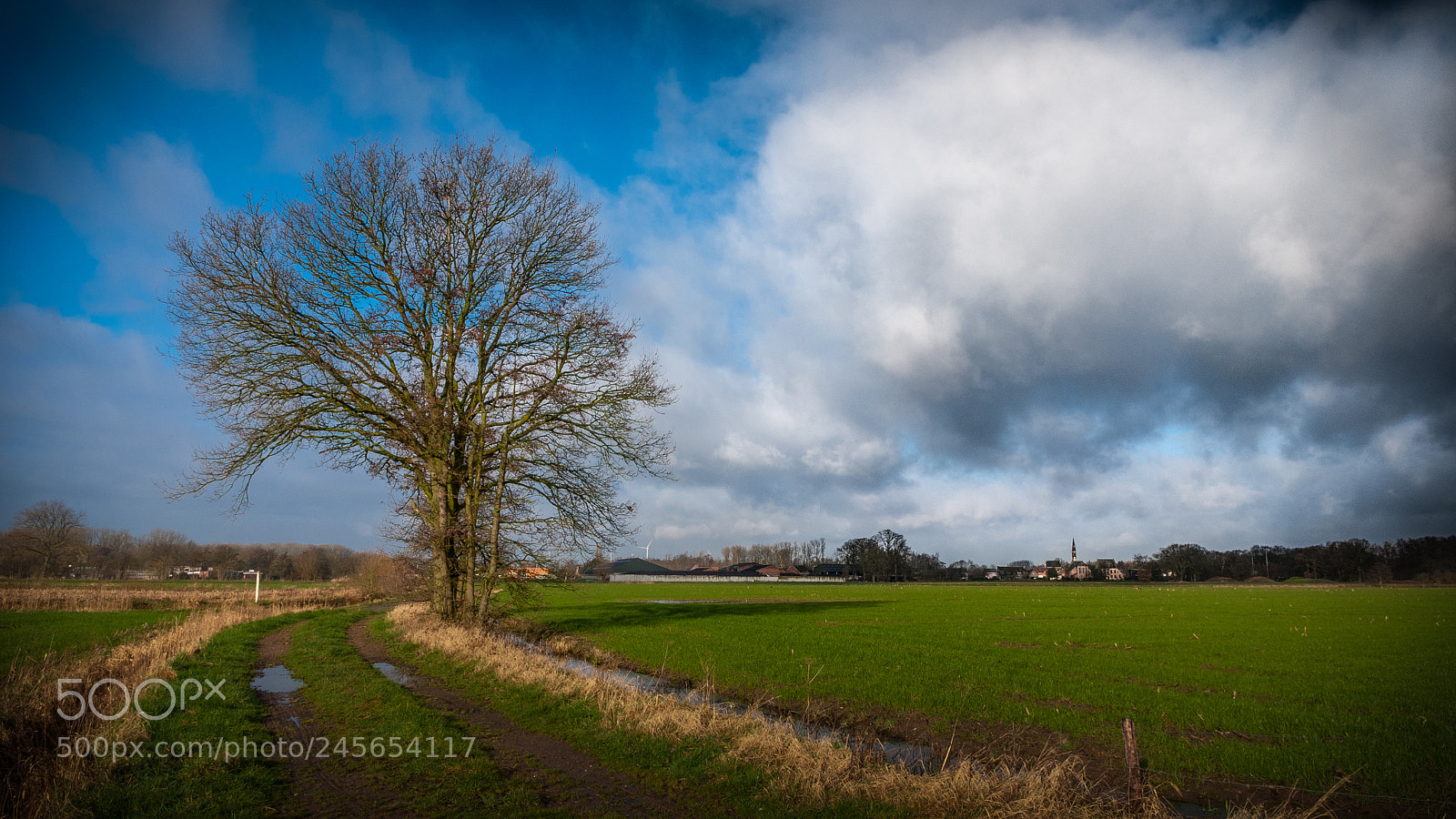 Nikon D60 sample photo. Sunny cloudy moning photography