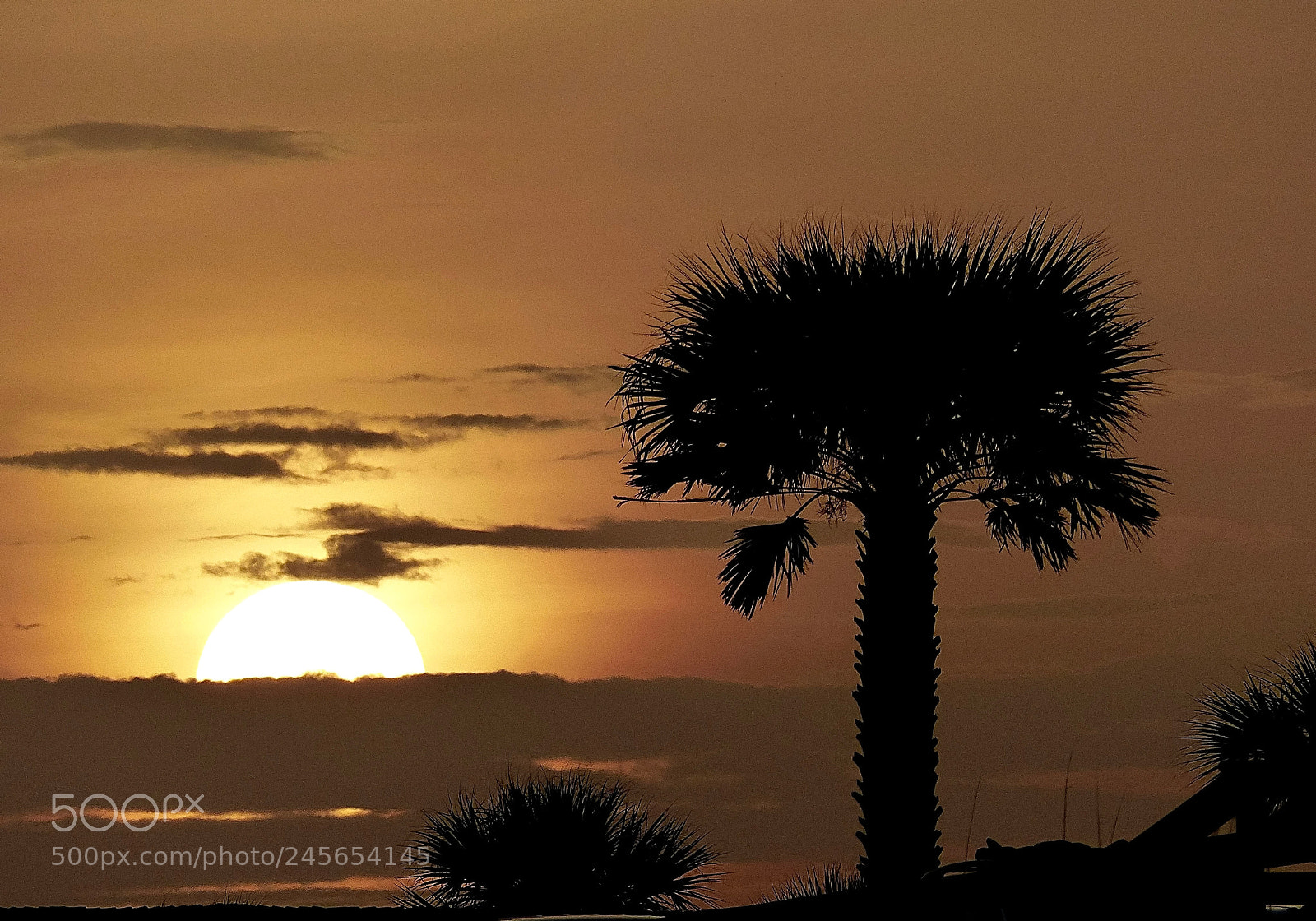 Panasonic Lumix DMC-FZ200 sample photo. Peaceful endings photography