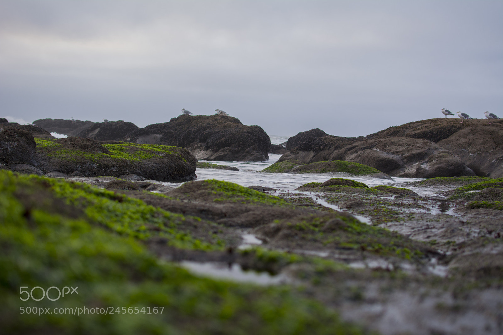Nikon D5200 sample photo. Beach photography