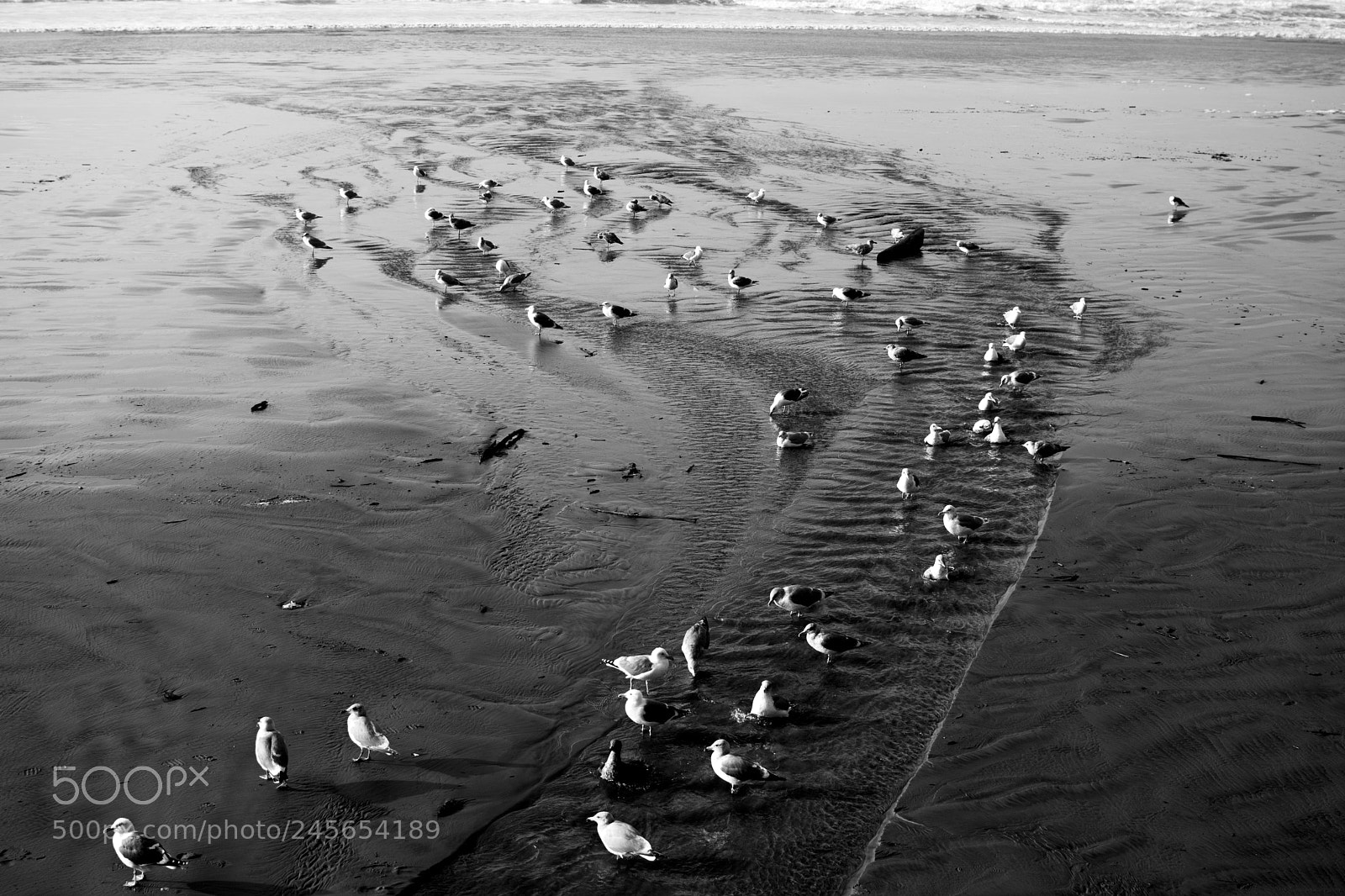 Nikon D5200 sample photo. Beach photography