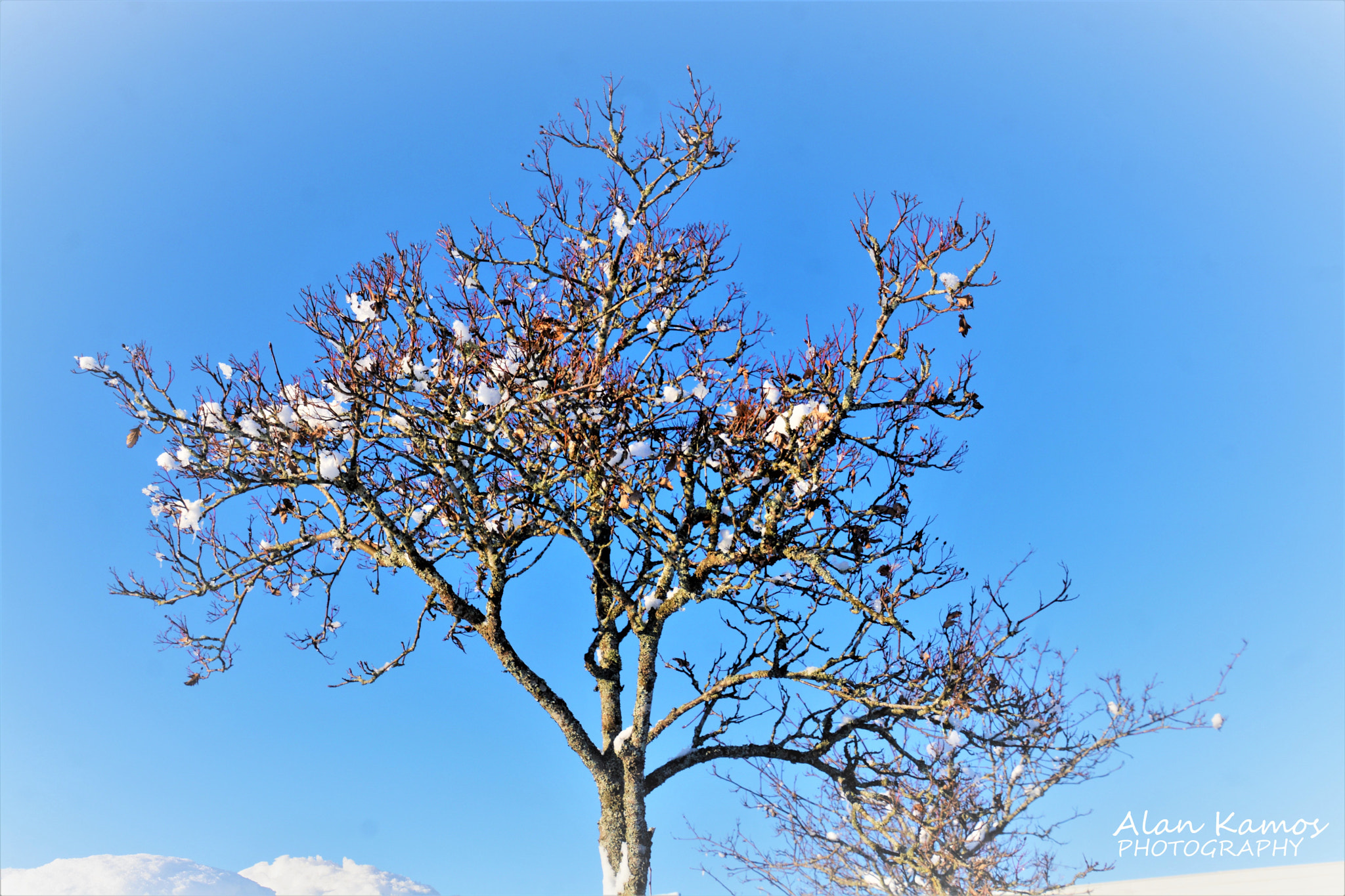 Nikon D5200 sample photo