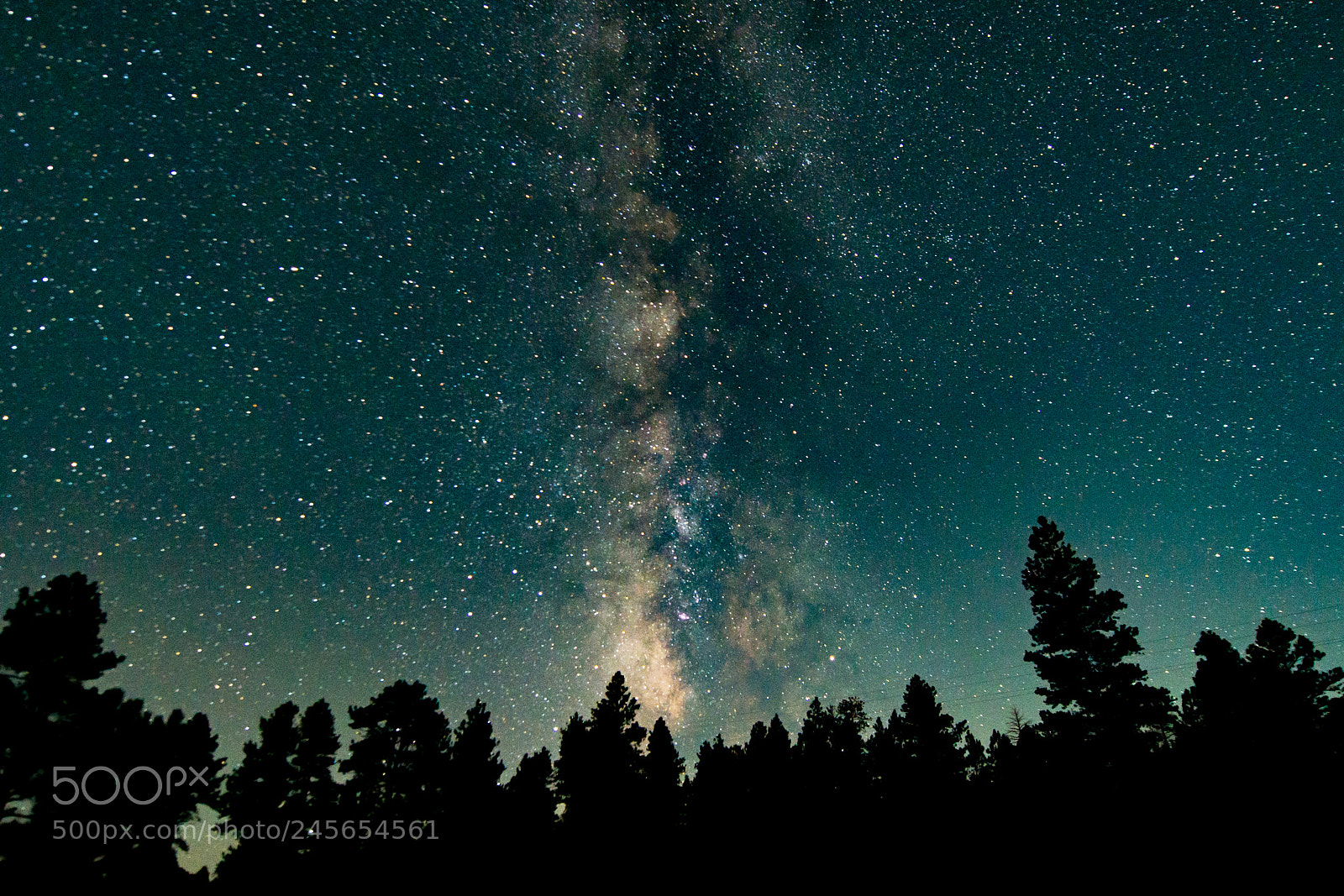 Nikon D610 sample photo. Too much universe photography