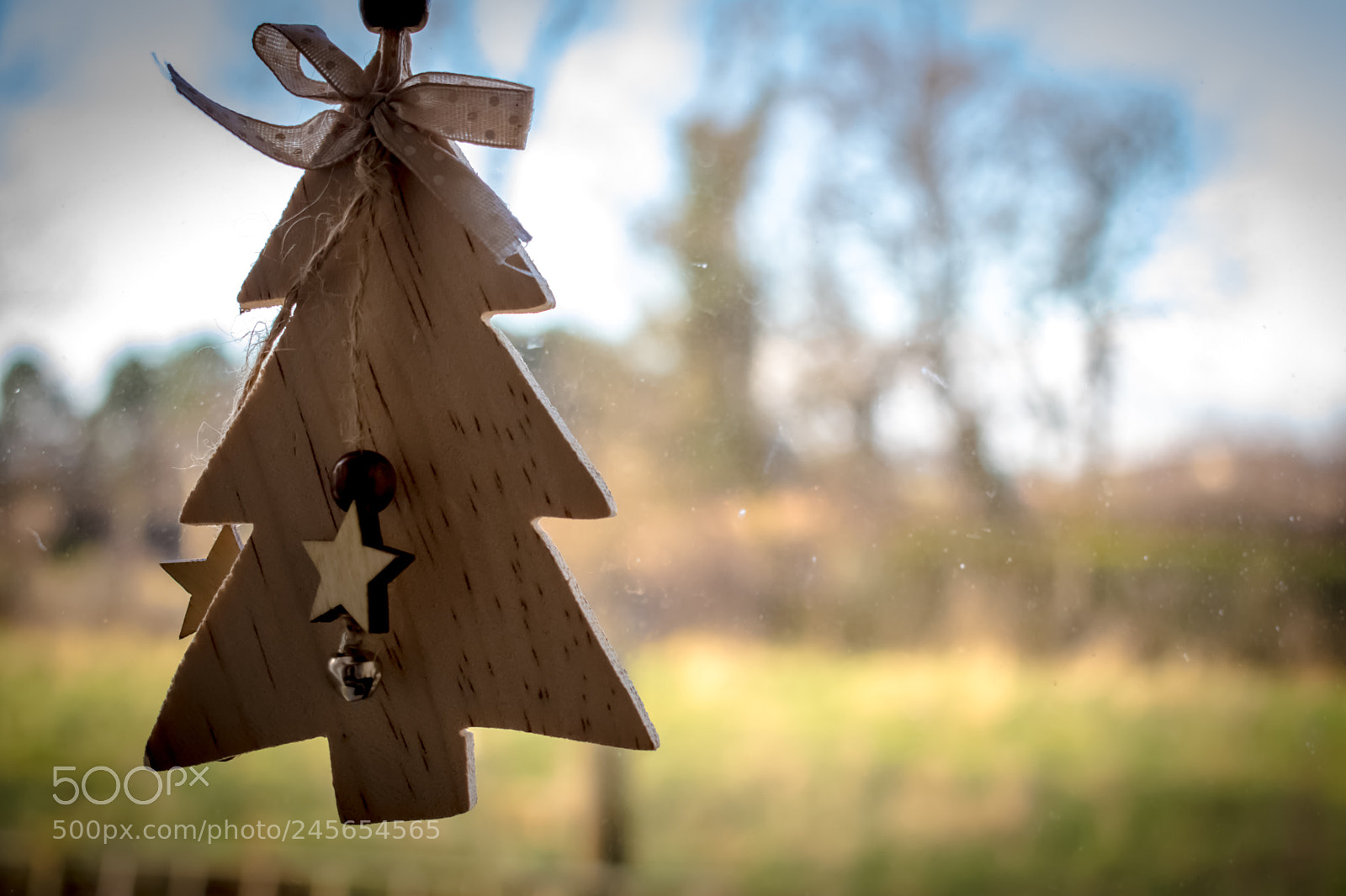 Nikon D3400 sample photo. One last decoration photography