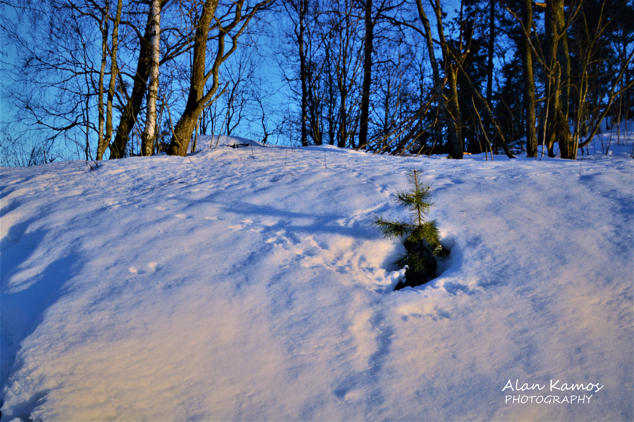 Nikon D5200 sample photo