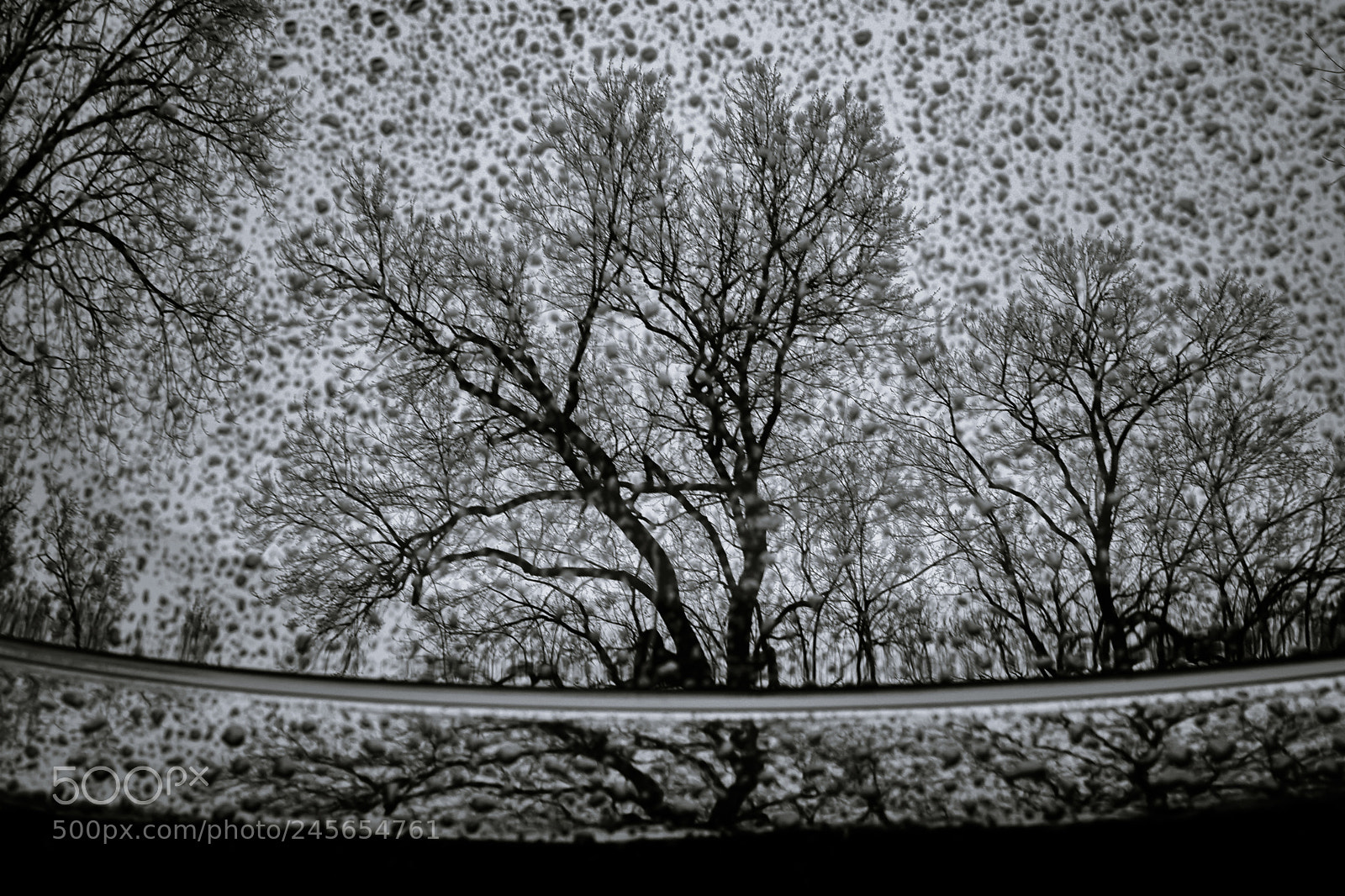 Fujifilm X-Pro2 sample photo. Raindrops, reflection of bare photography