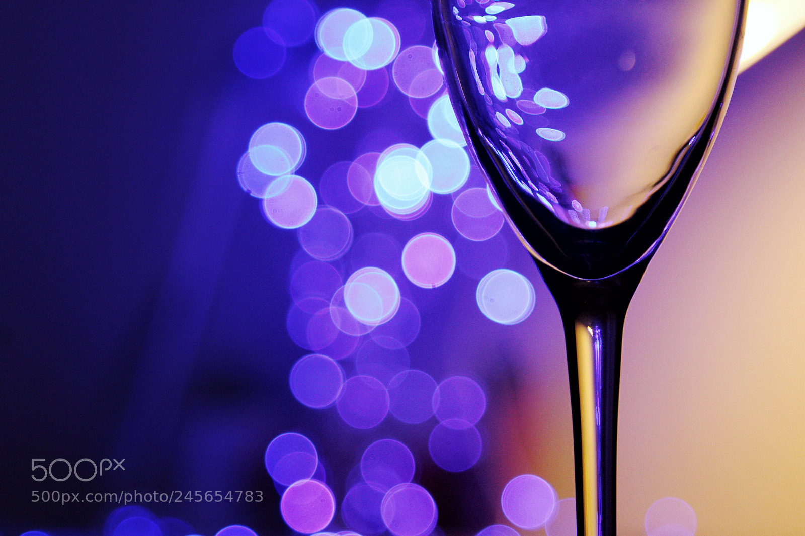 Canon EOS 500D (EOS Rebel T1i / EOS Kiss X3) sample photo. Wineglass photography