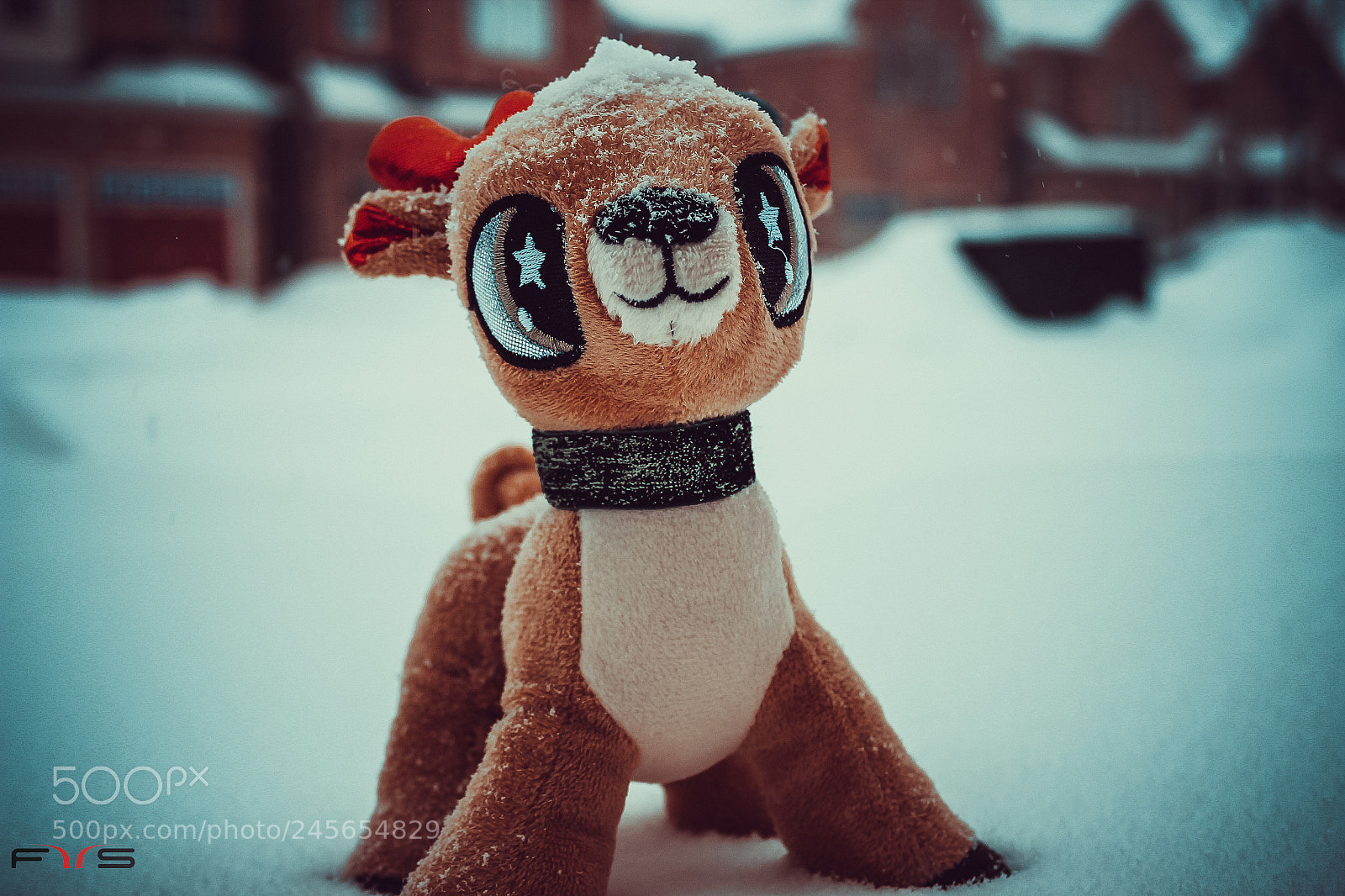 Canon EOS 600D (Rebel EOS T3i / EOS Kiss X5) sample photo. Lilly in snow..!! photography