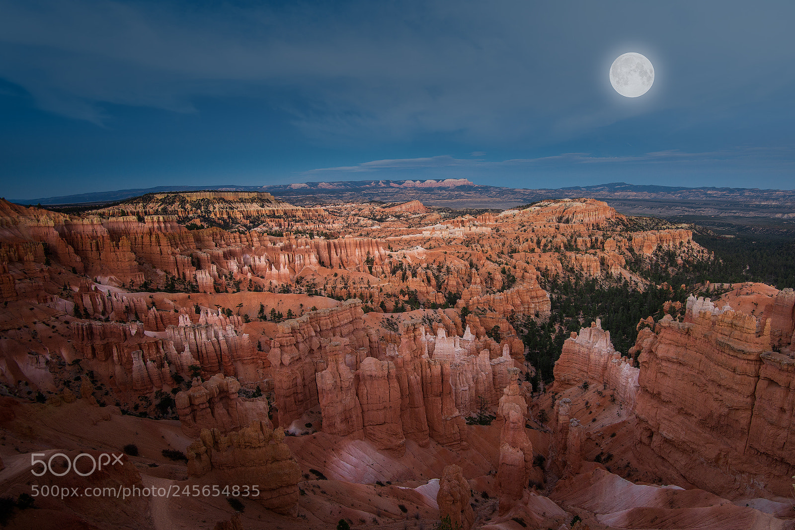 Nikon D810 sample photo. Moonlit valley photography