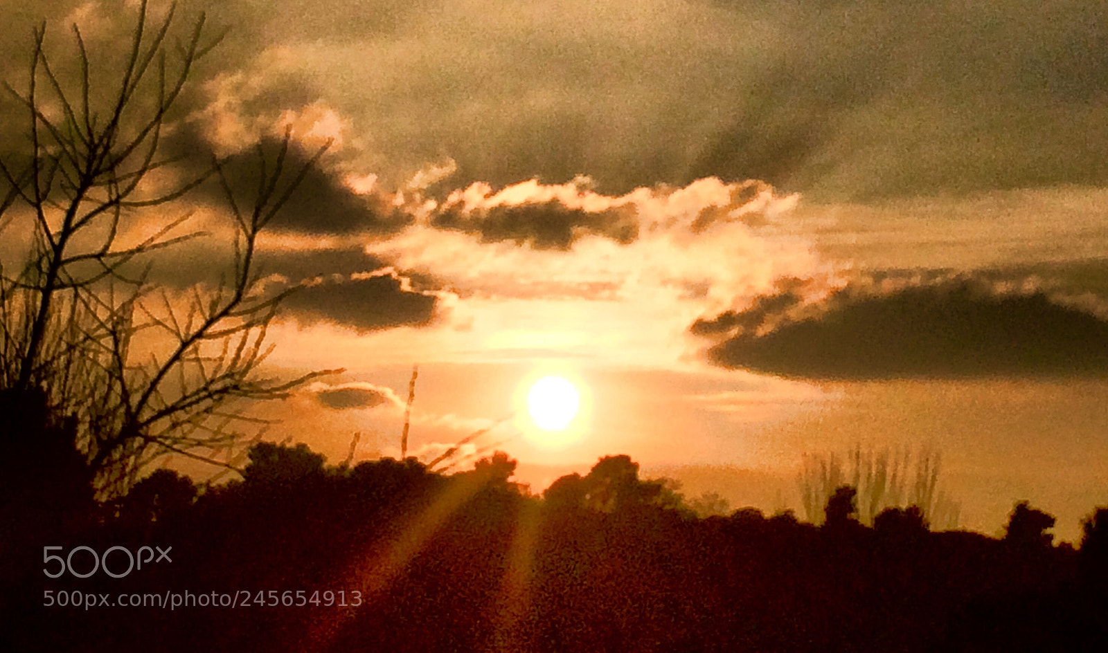 Apple iPhone 5s sample photo. Halber mensch... photography