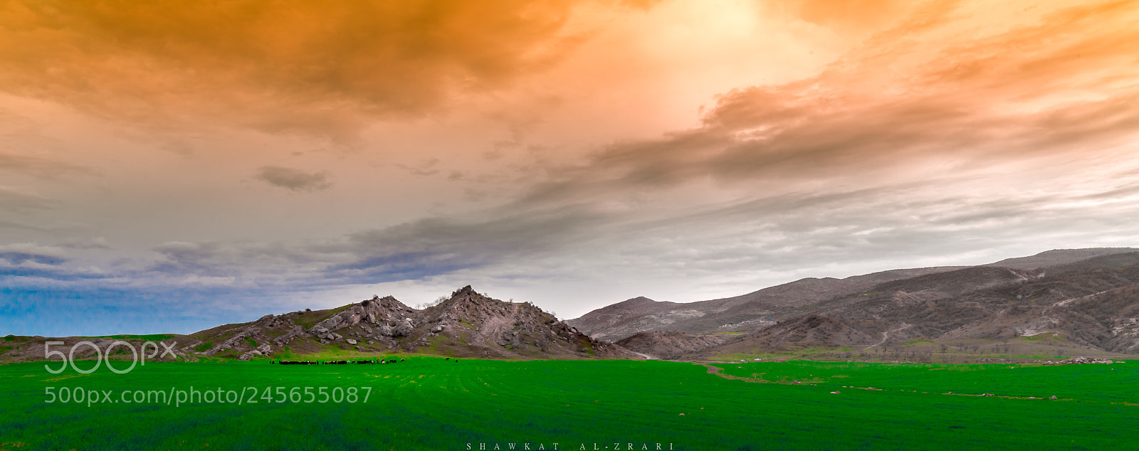 Sony a7R II sample photo. _dsc6749-3.jpg photography