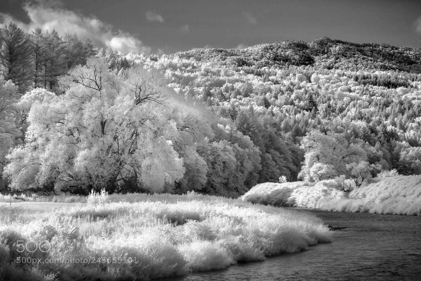 Canon EOS 400D (EOS Digital Rebel XTi / EOS Kiss Digital X) sample photo. Mountain river trees infrared photography