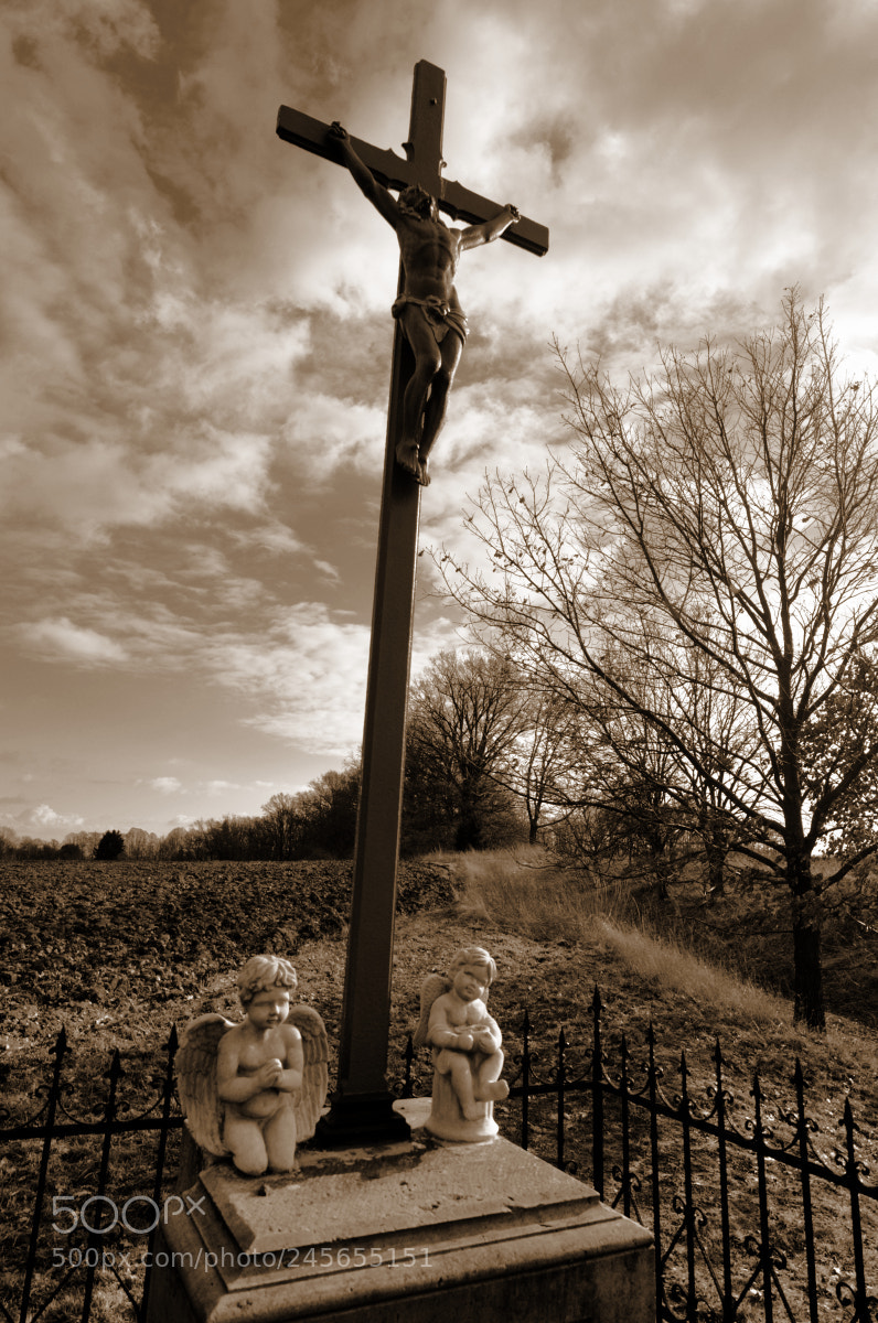 Nikon D300 sample photo. In the name of photography