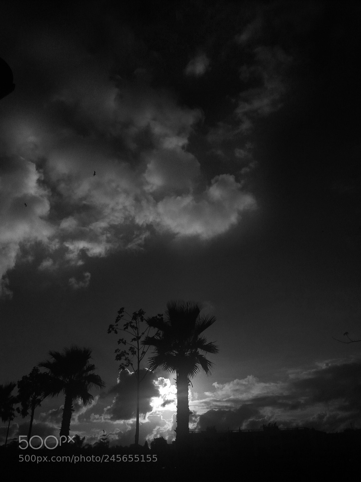 Samsung Galaxy J5(2016) sample photo. Noir et blanc photography