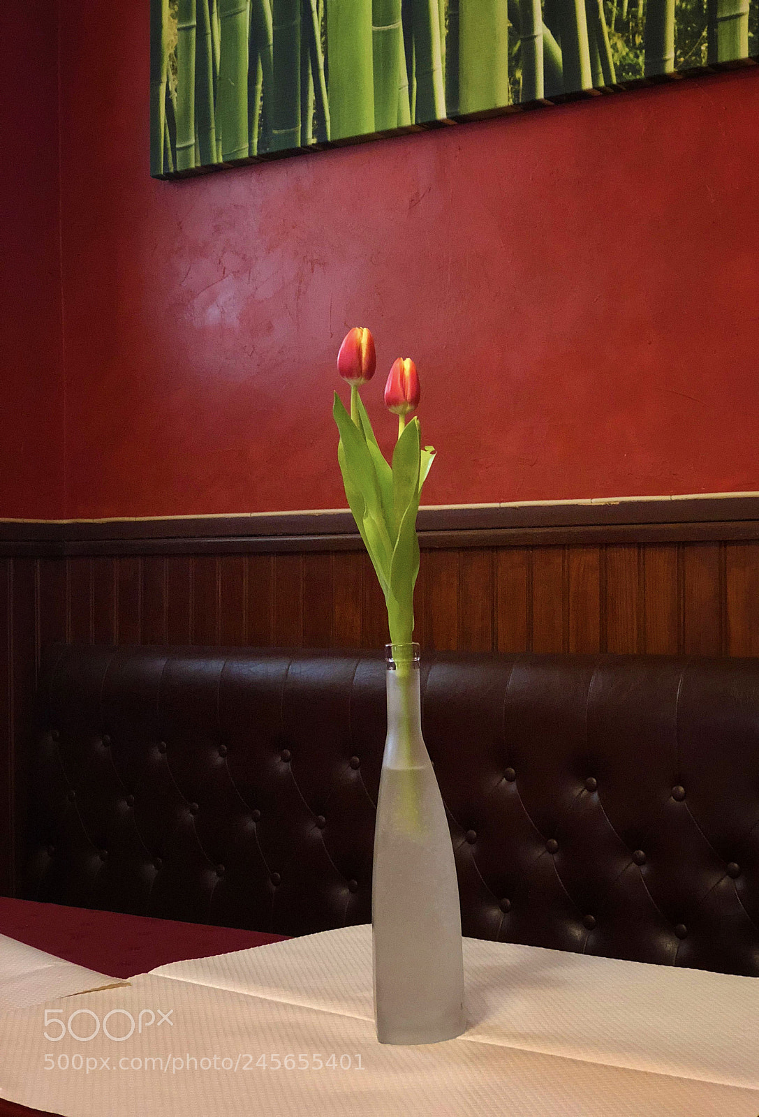Apple iPhone X sample photo. Duo photography