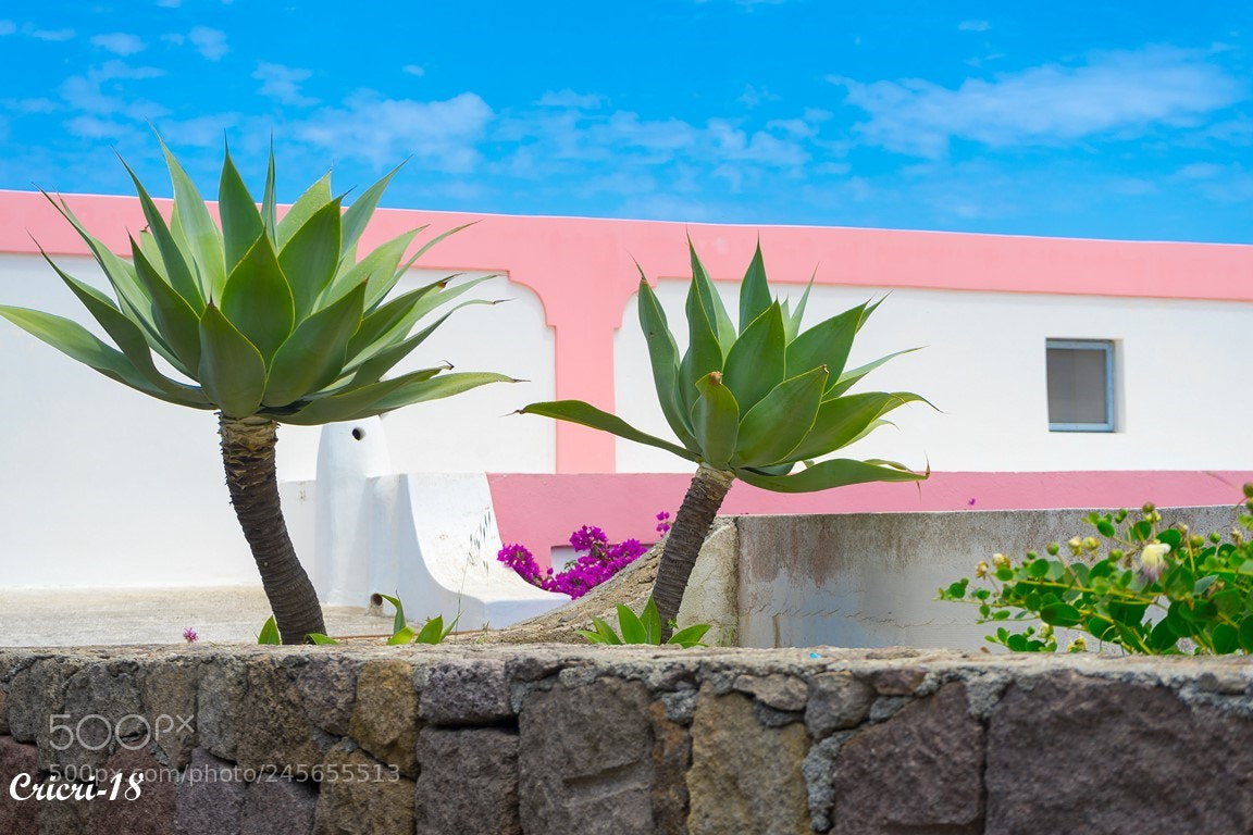 Sony a7 II sample photo. Sicile photography