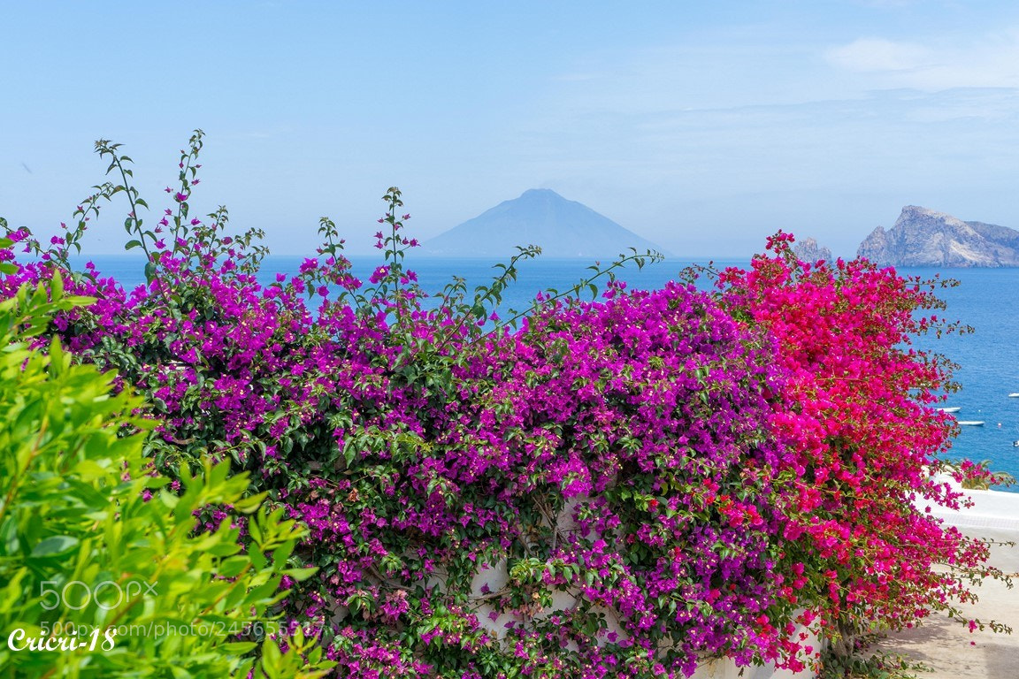 Sony a7 II sample photo. Sicile photography