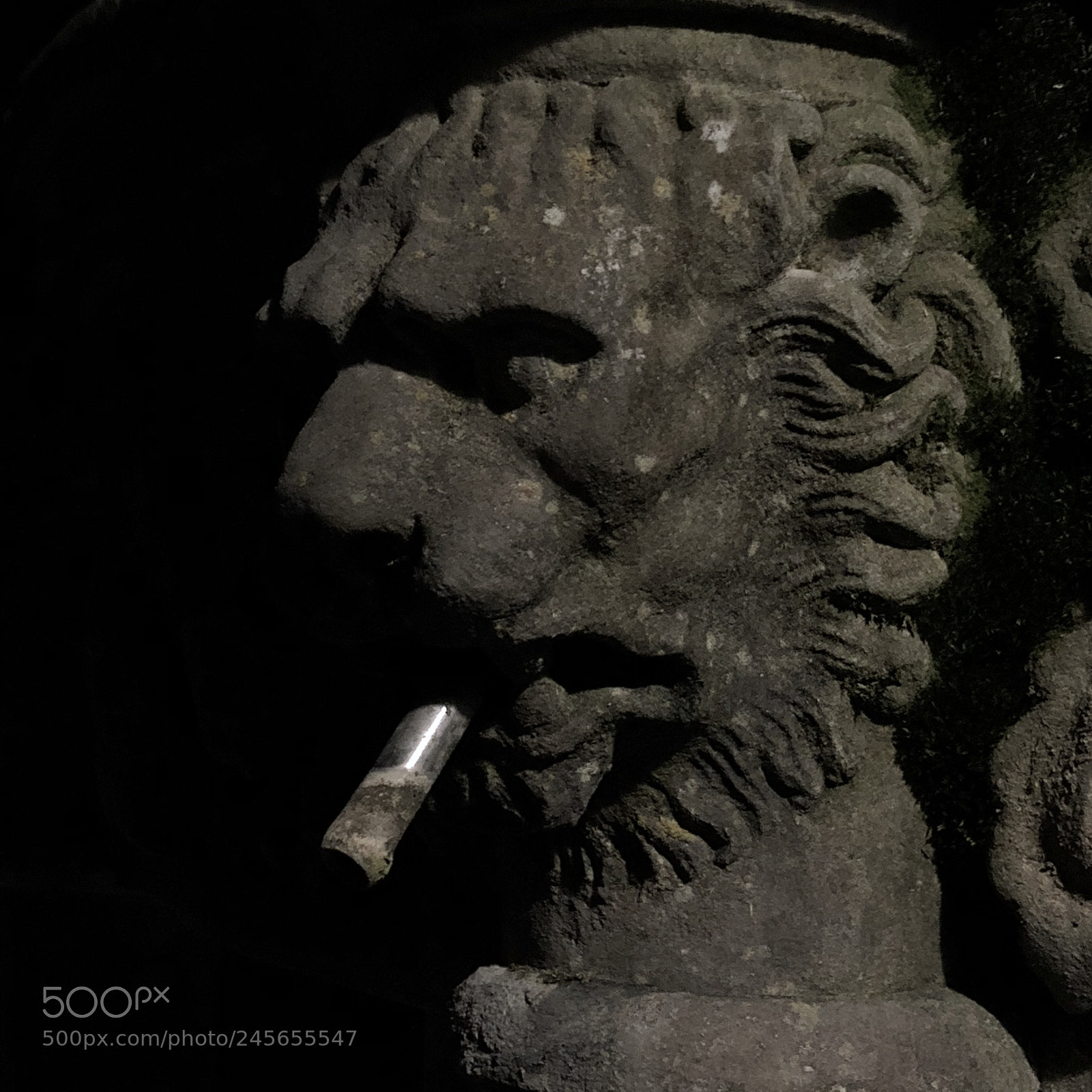 Apple iPhone X sample photo. Smoking lion photography