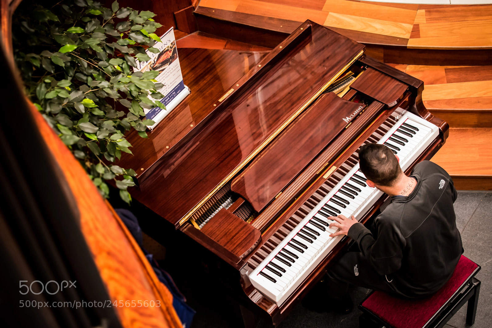 Nikon D3400 sample photo. Unlikely pianist photography