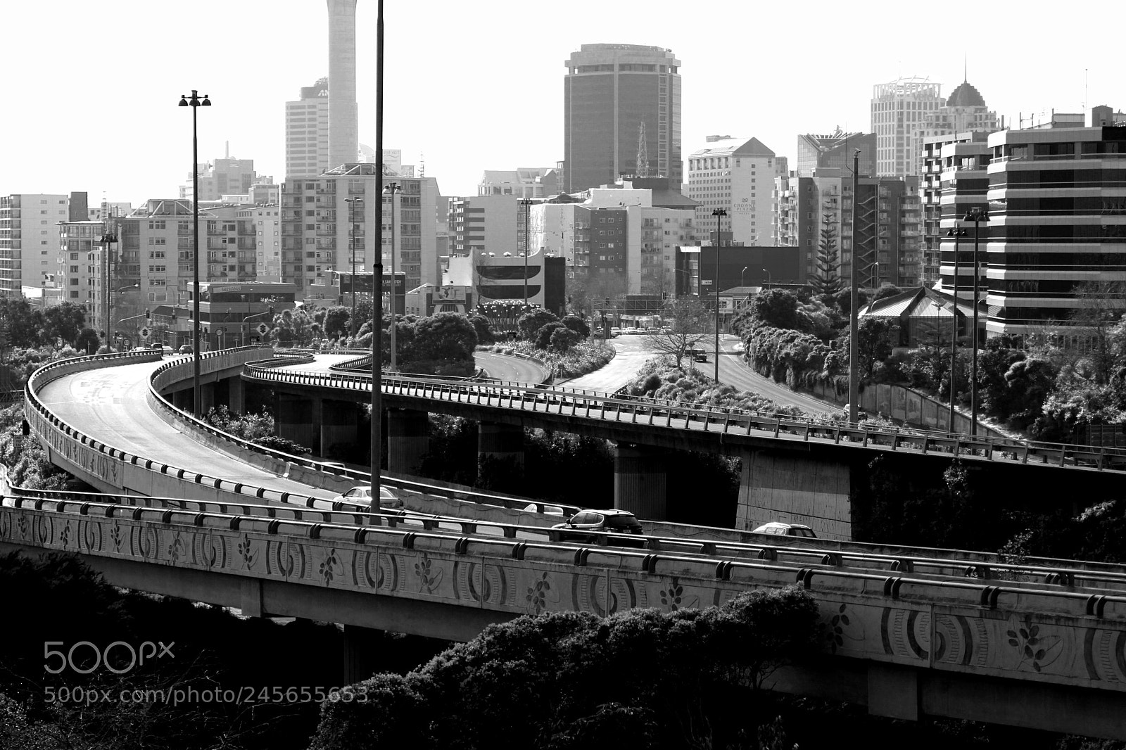 Canon EOS 550D (EOS Rebel T2i / EOS Kiss X4) sample photo. Auckland city photography