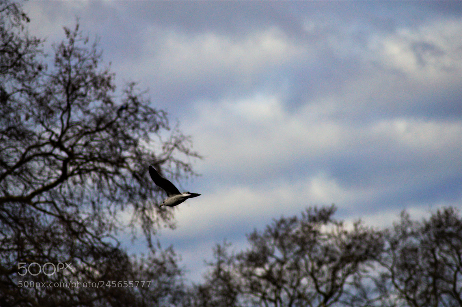 Nikon D3200 sample photo. Untitled photography