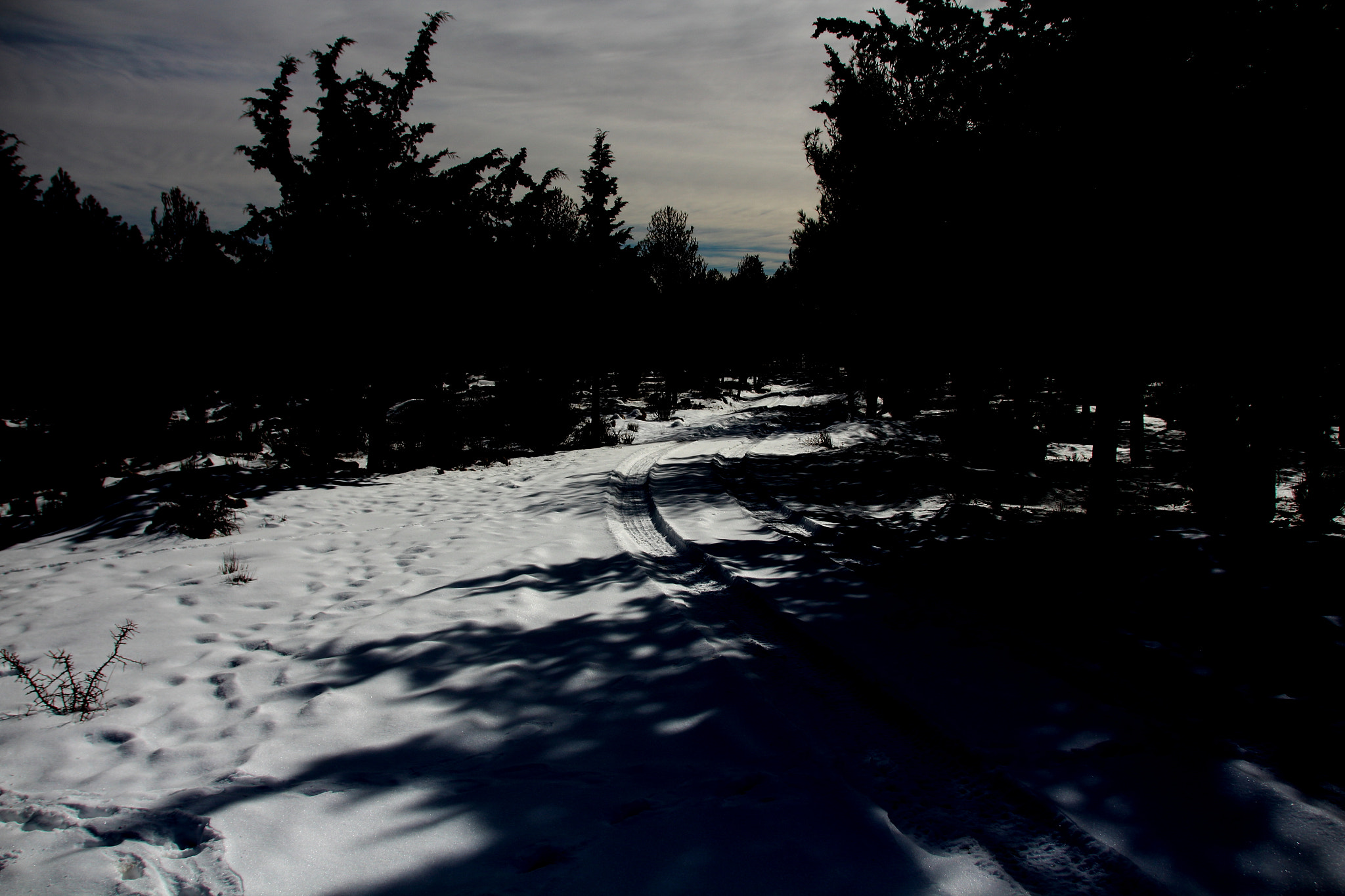 Canon EOS 650D (EOS Rebel T4i / EOS Kiss X6i) sample photo. Camino photography
