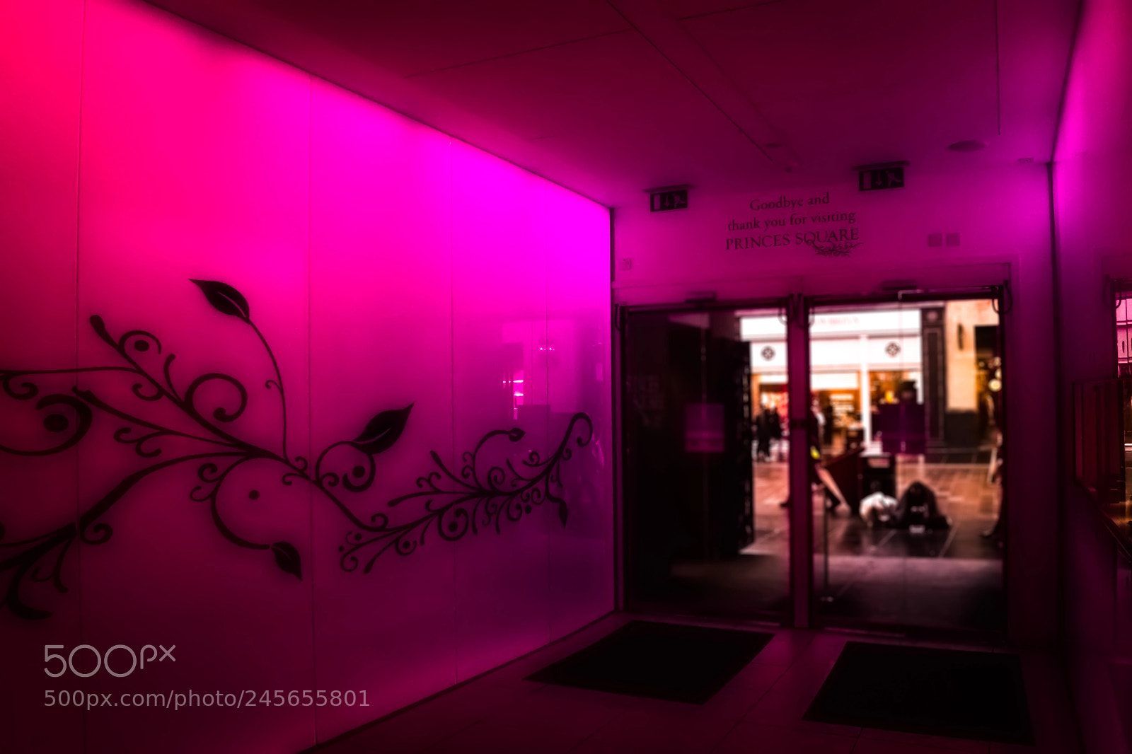 Nikon D3400 sample photo. Exit lighting photography