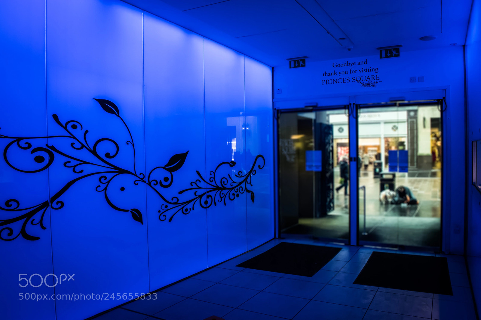 Nikon D3400 sample photo. Blue exit photography