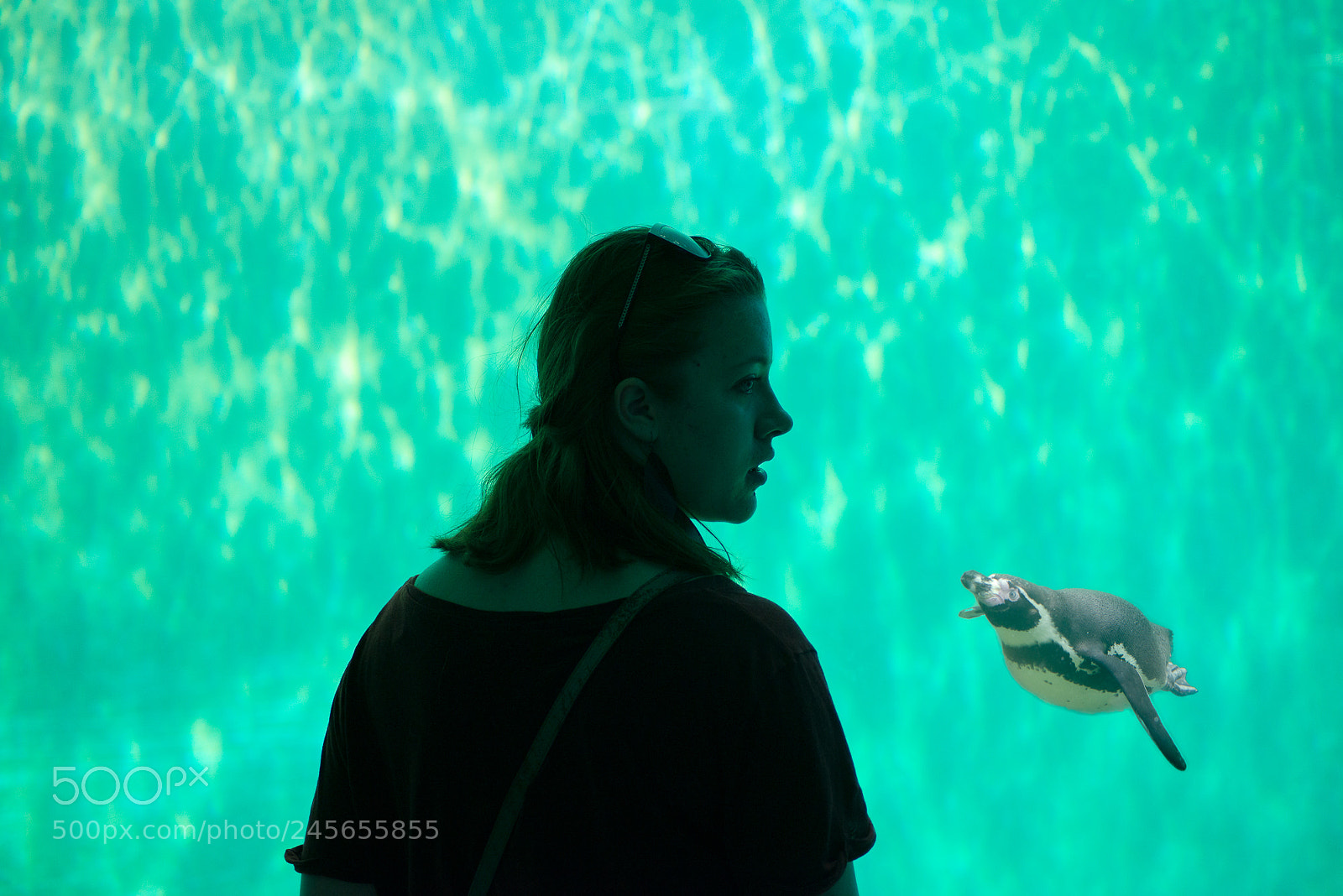 Nikon D800 sample photo. Copenhagen zoo trip photography