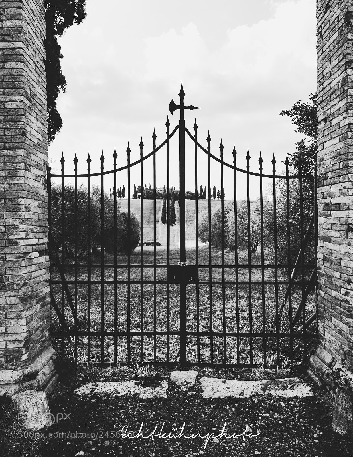 Canon EOS 5DS R sample photo. Val d'orcia b/w photography
