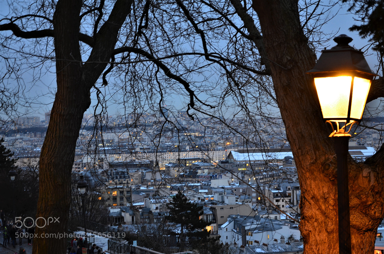 Nikon D5100 sample photo. Untitled photography