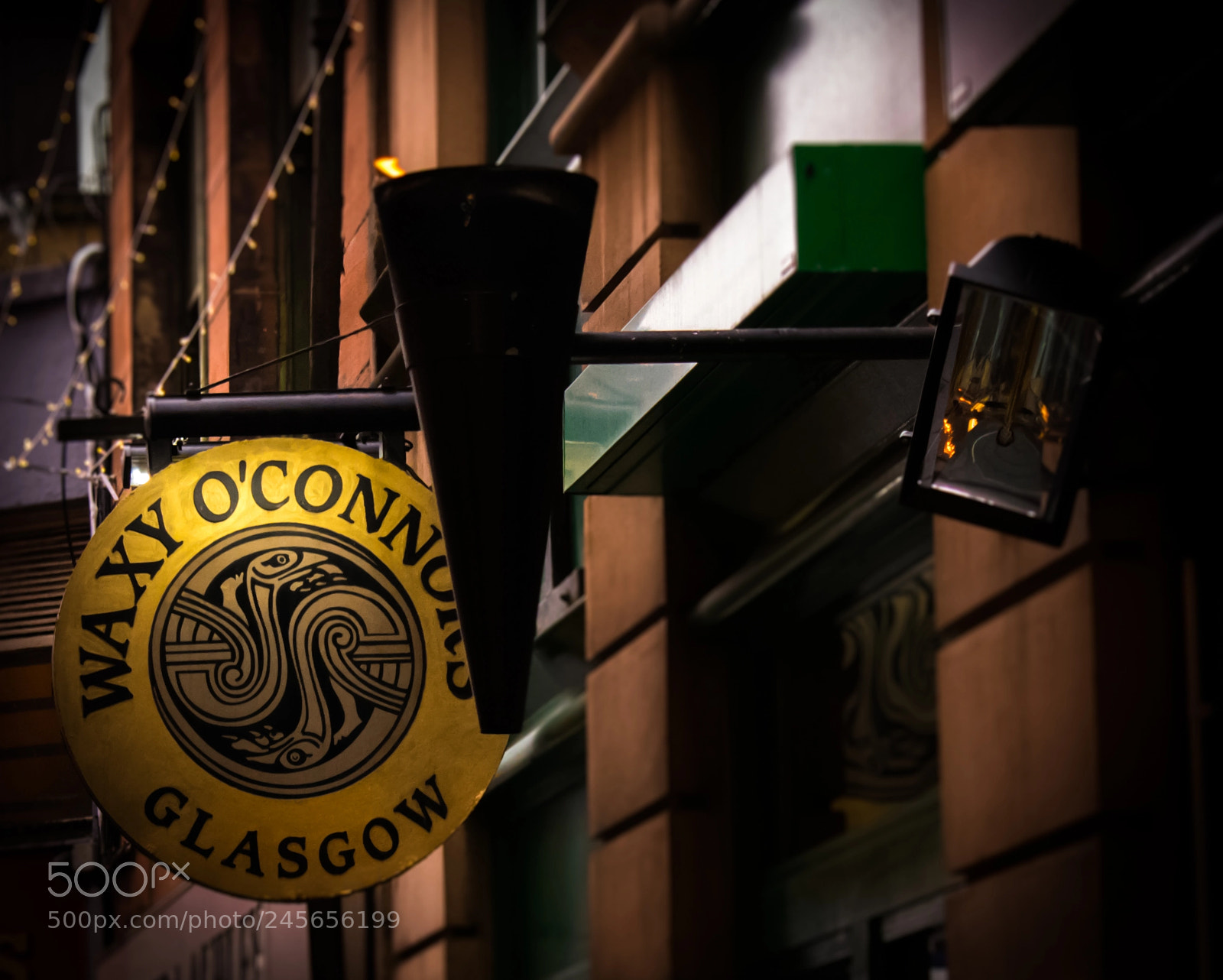Nikon D3400 sample photo. Waxy o'conners photography