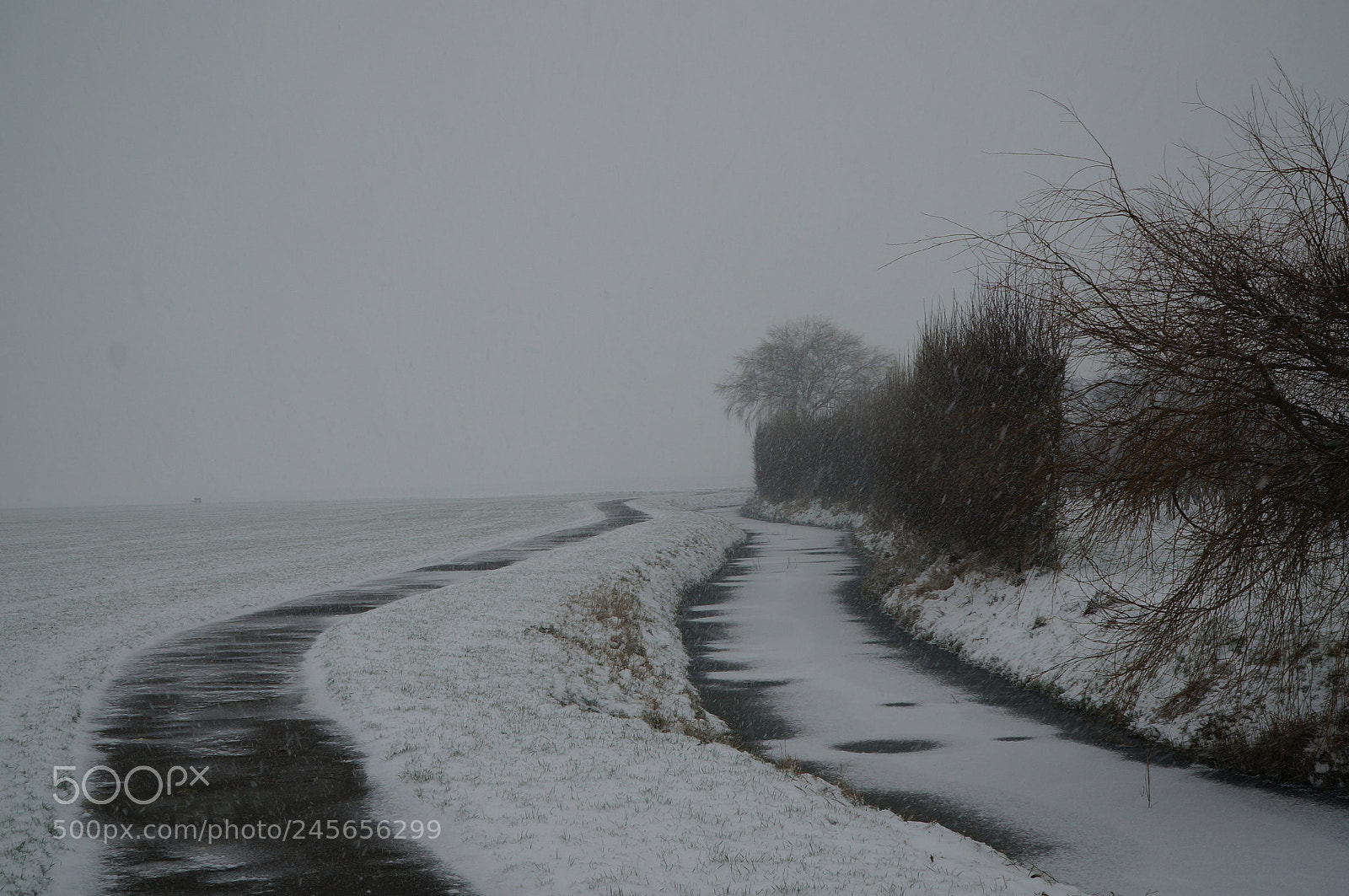 Sony Alpha NEX-6 sample photo. Snowy white park. photography
