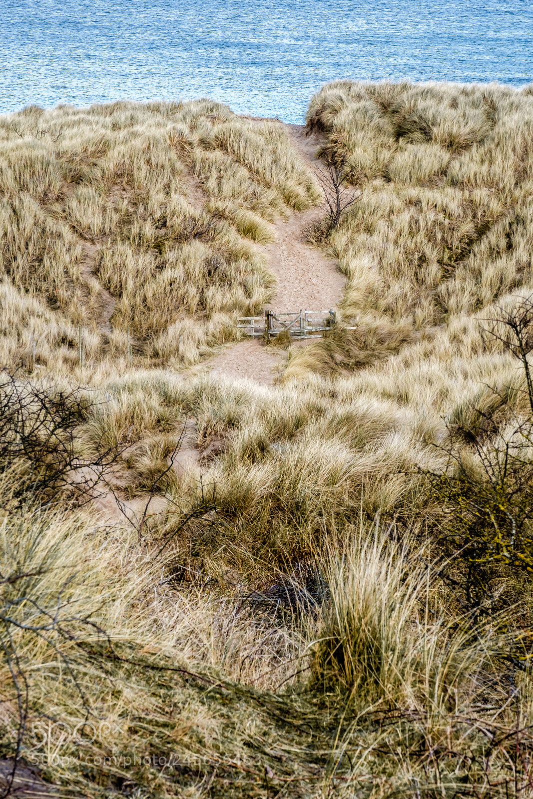 Fujifilm X-T2 sample photo. Among the dunes photography