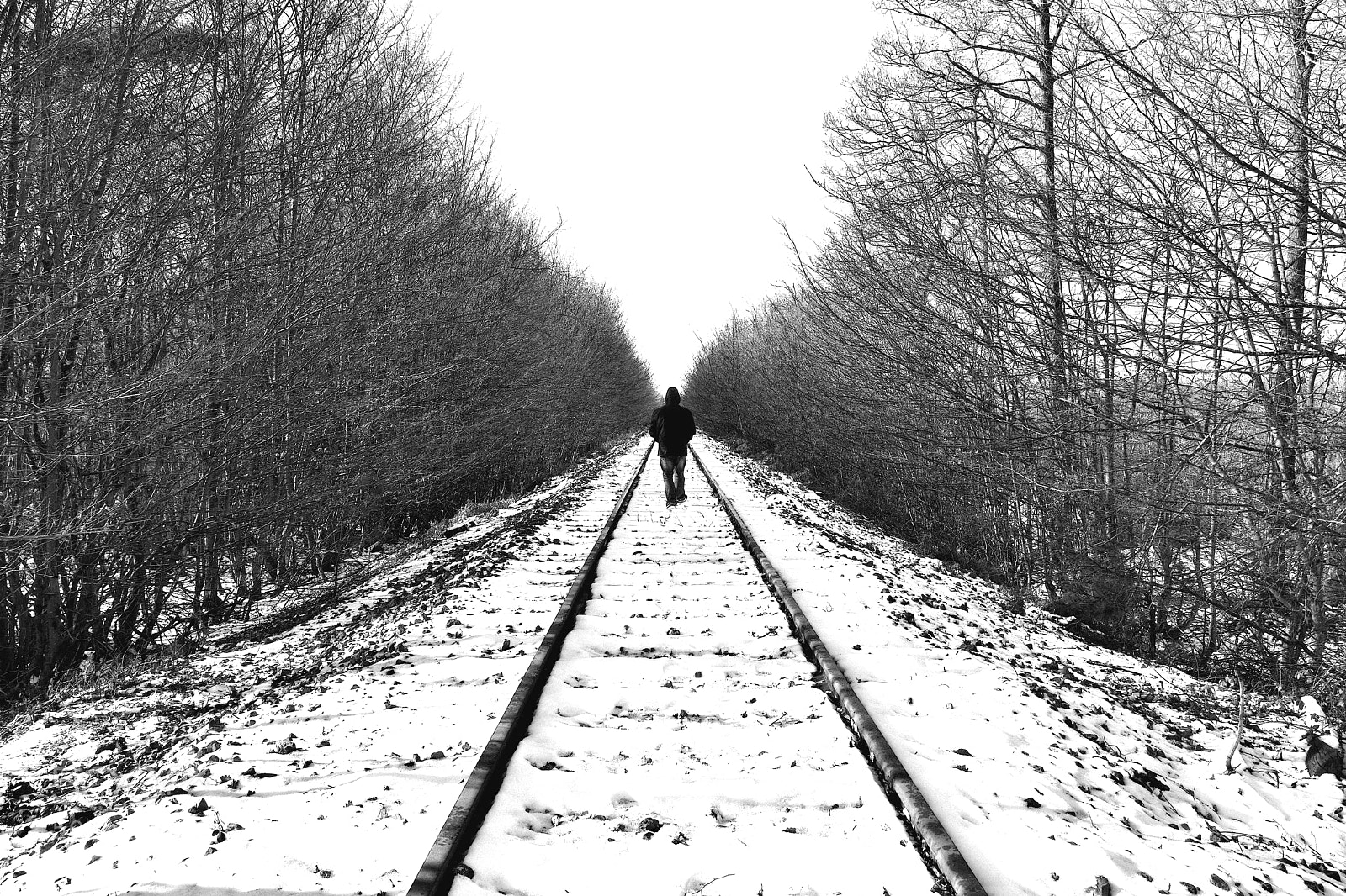 Nikon D7100 sample photo. La neige... photography
