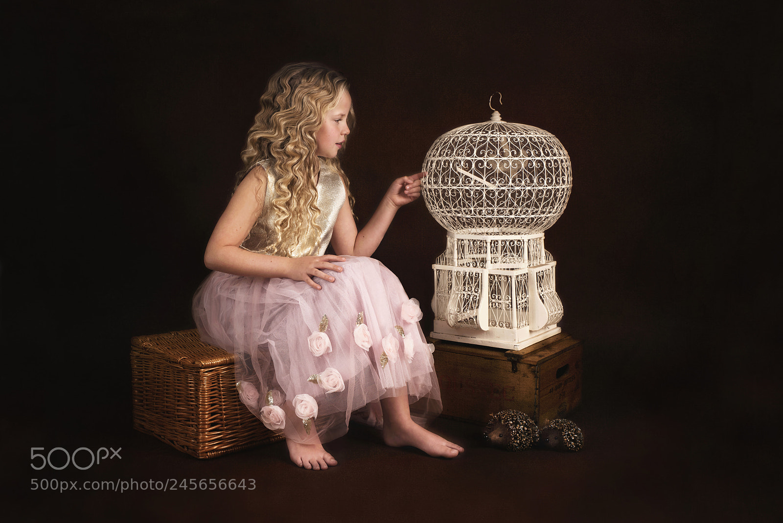 Nikon D810 sample photo. Ruby and the bird photography