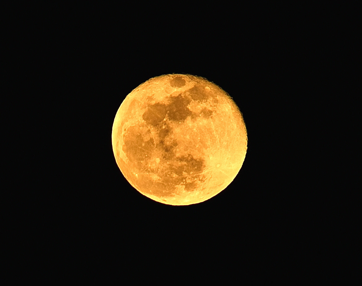 Nikon D700 sample photo. Dolunay photography