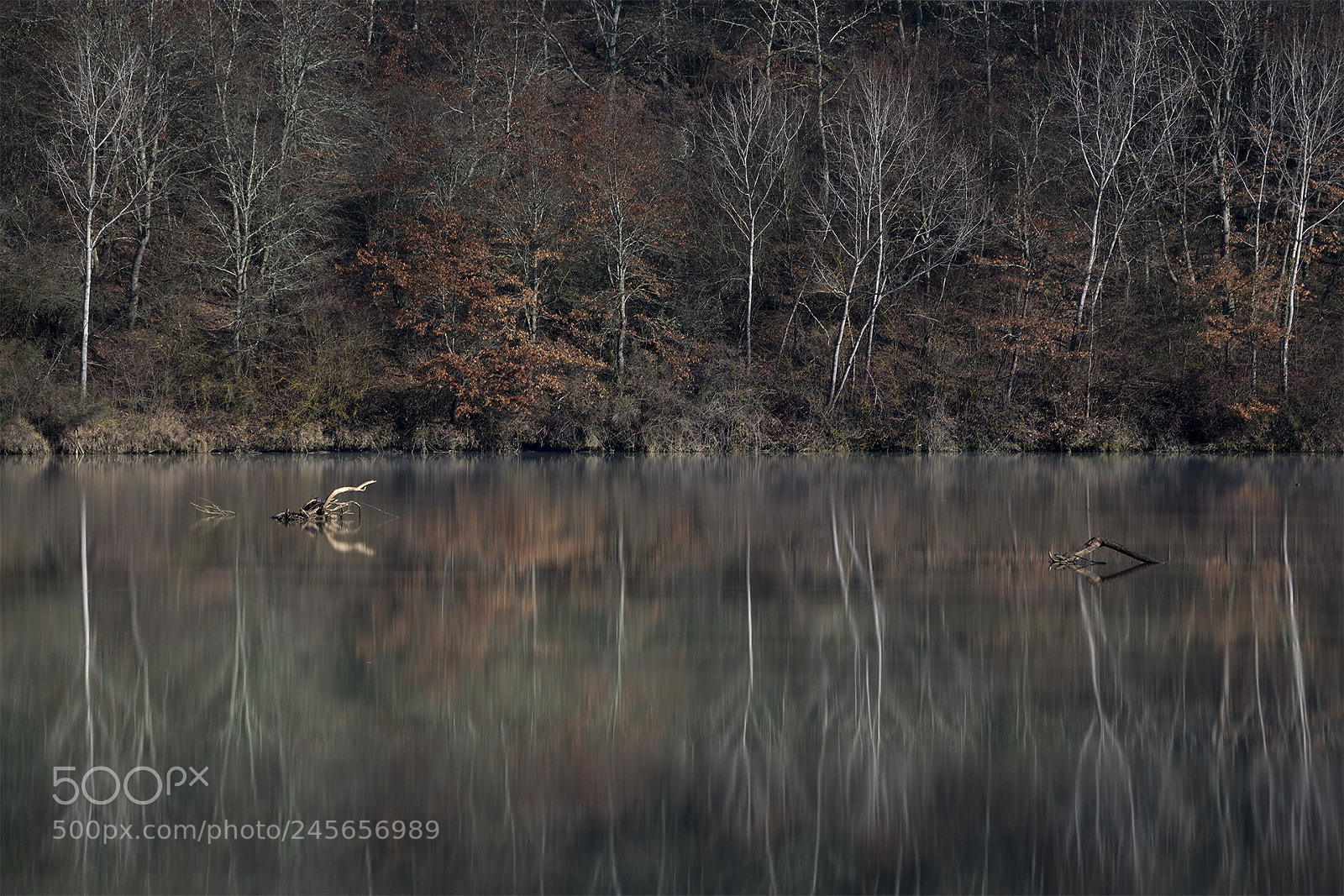 Nikon D800 sample photo. Fiume arno, febbraio 2018 photography