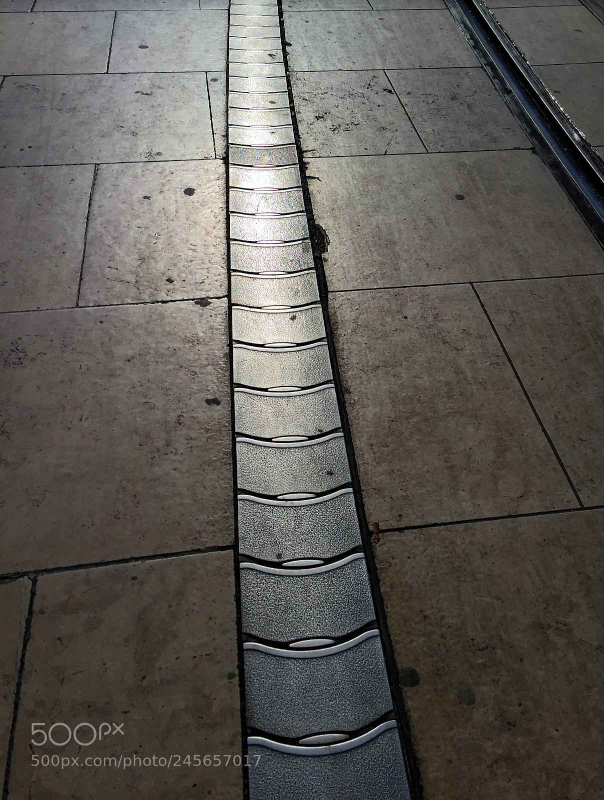 Apple iPhone 6 sample photo. Serpent urbain fa on photography