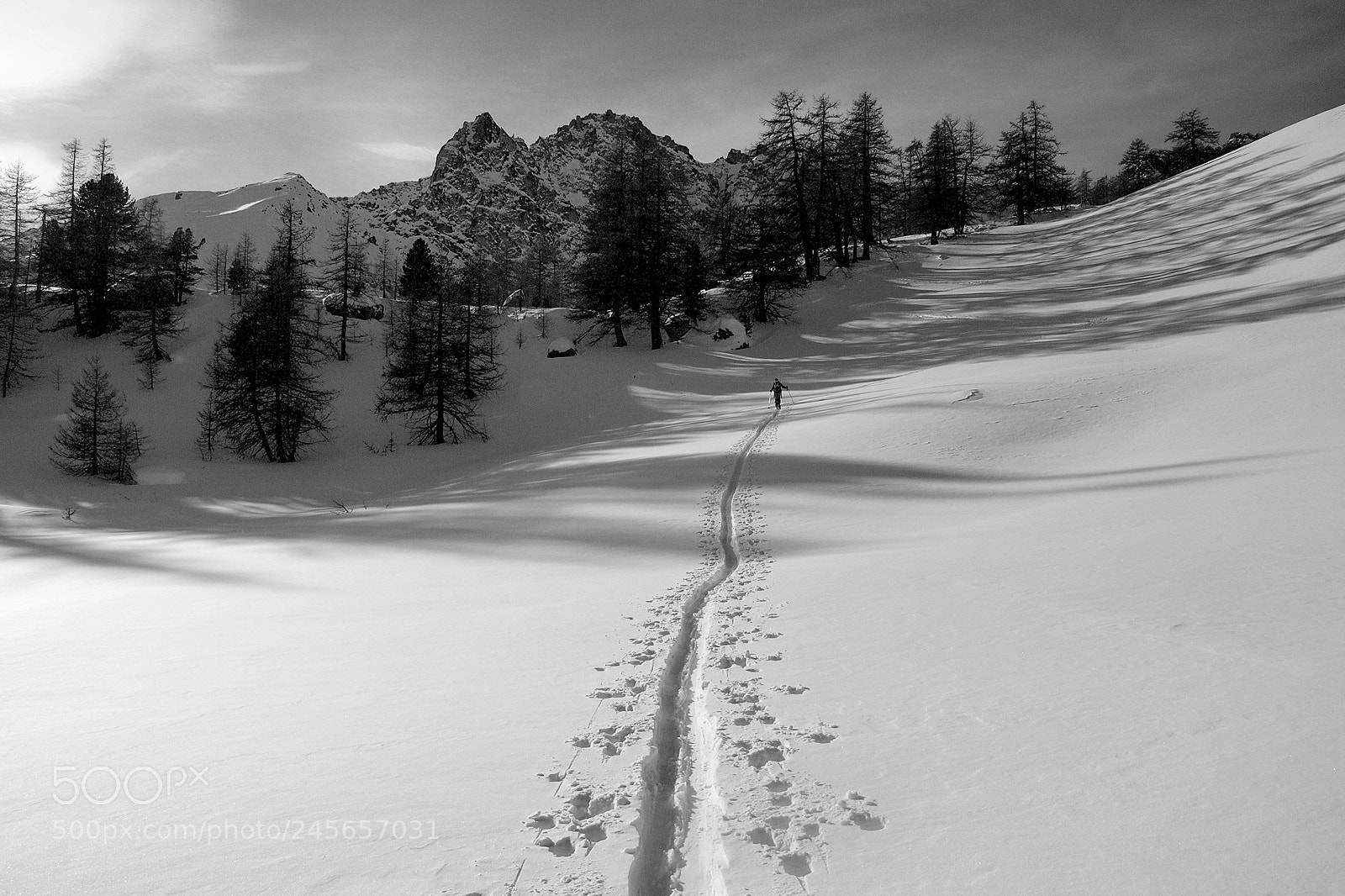 Olympus E-620 (EVOLT E-620) sample photo. La traccia nella neve photography