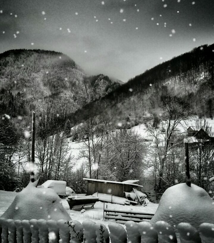 HTC DESRIE D530 sample photo. Snow photography