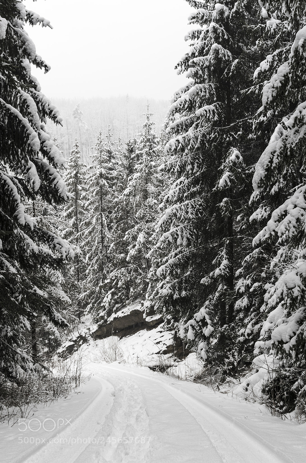 Pentax K-30 sample photo. Forest road in winter photography