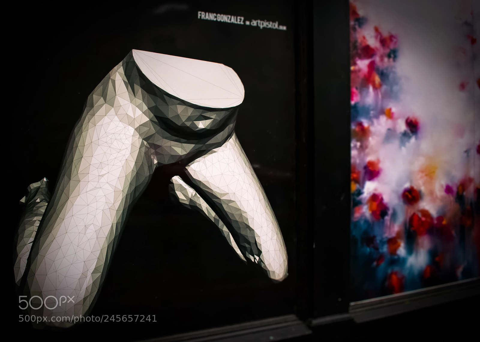 Nikon D3400 sample photo. Lowpoly legs photography