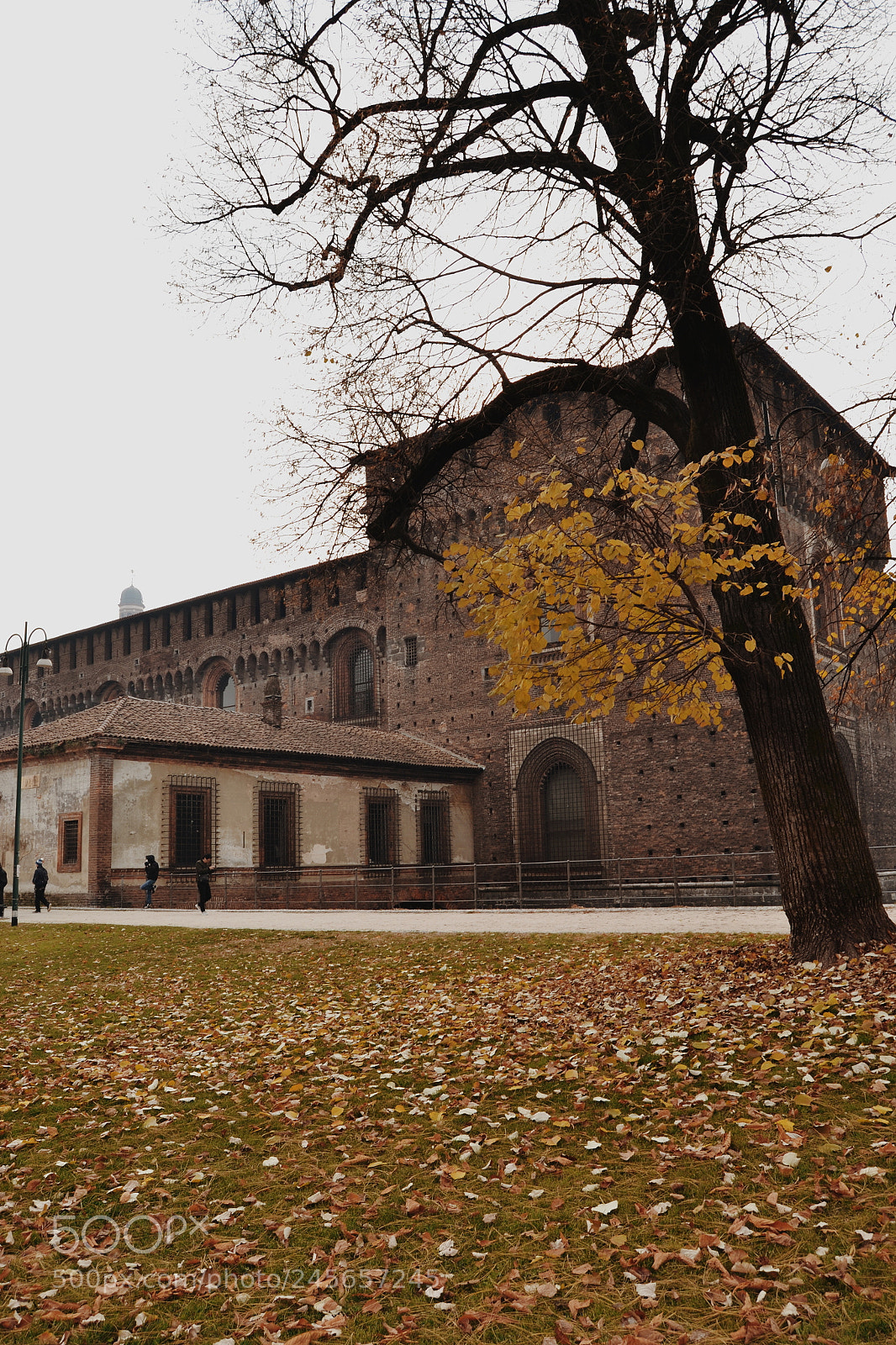 Nikon D3100 sample photo. Winter in milan photography