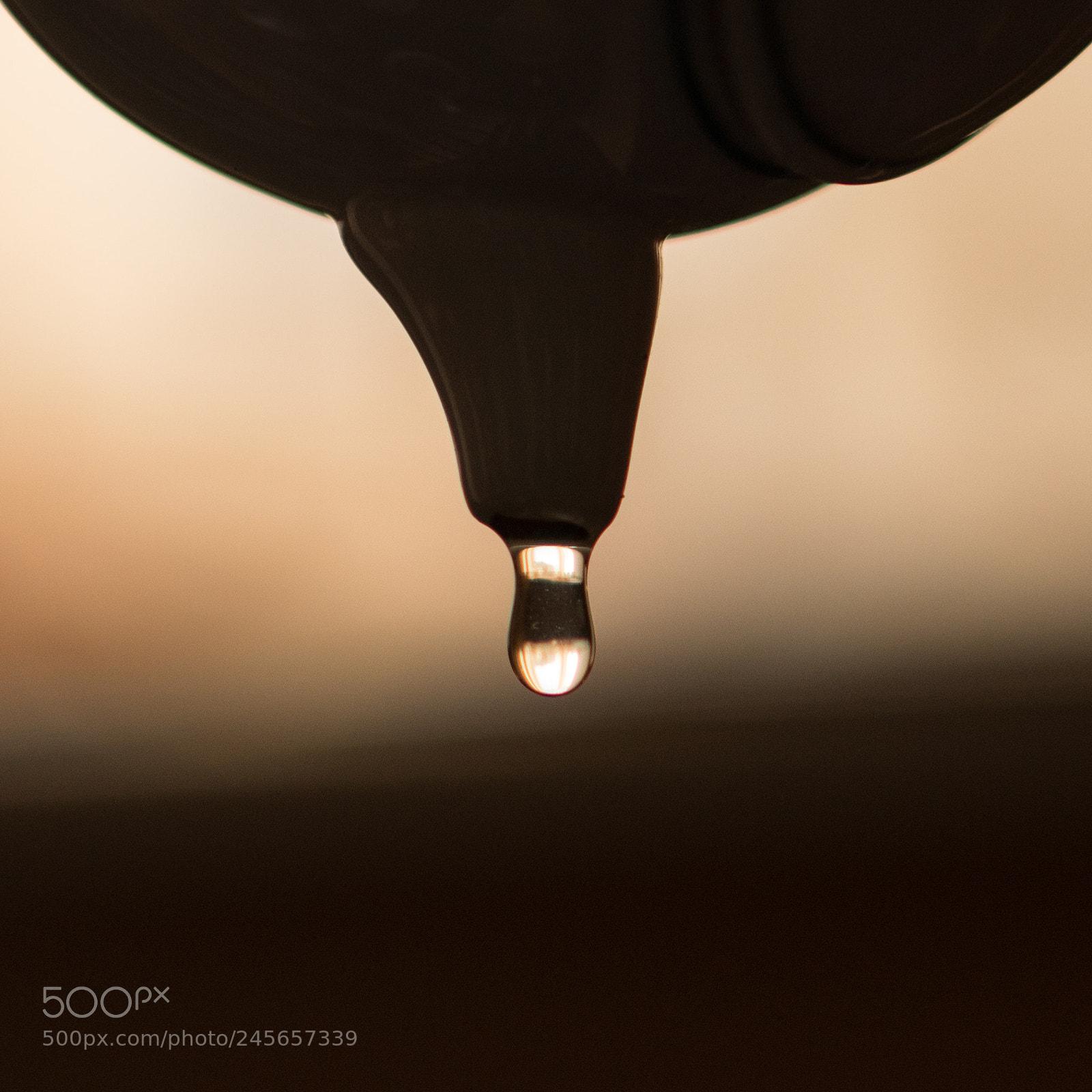 Sony a6300 sample photo. Exquisite green tea, drop photography