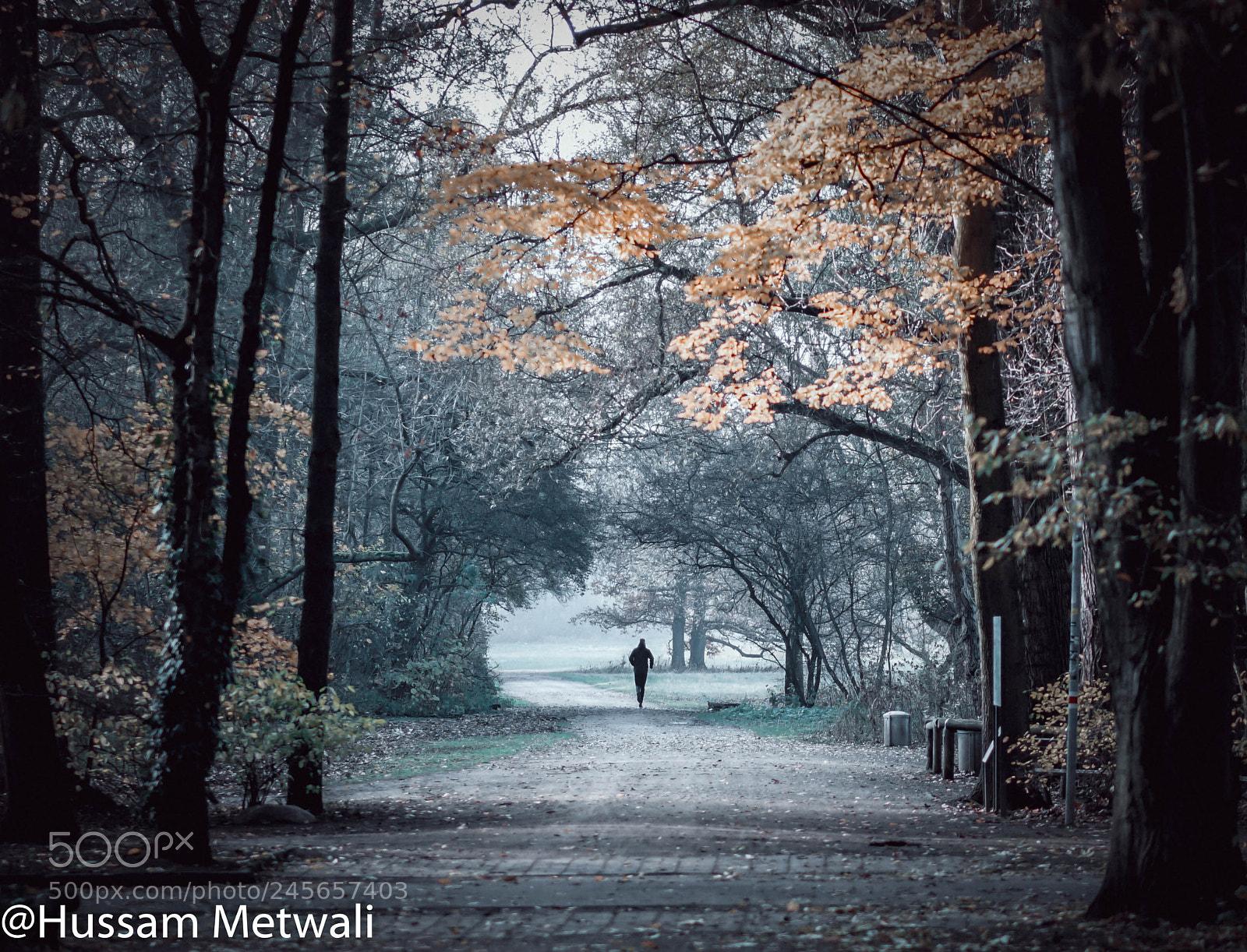 Sony a7R II sample photo. :) photography