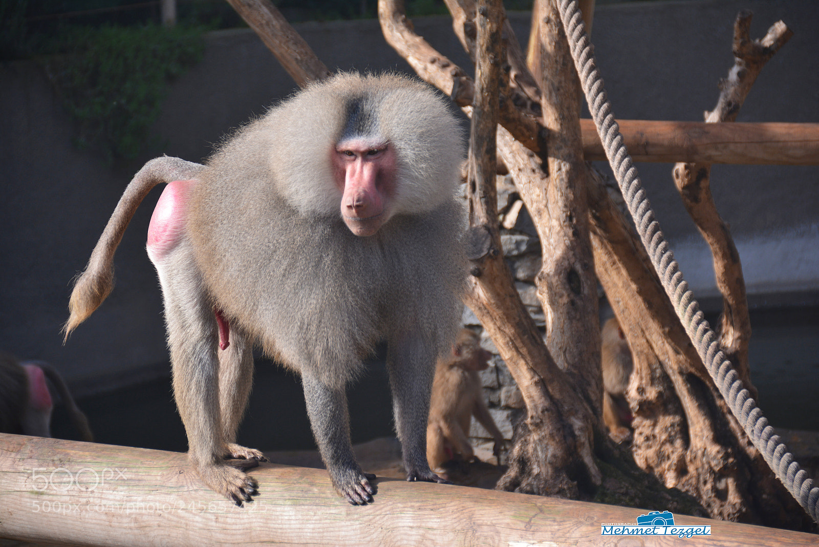 Nikon D5200 sample photo. 3333.jpg photography