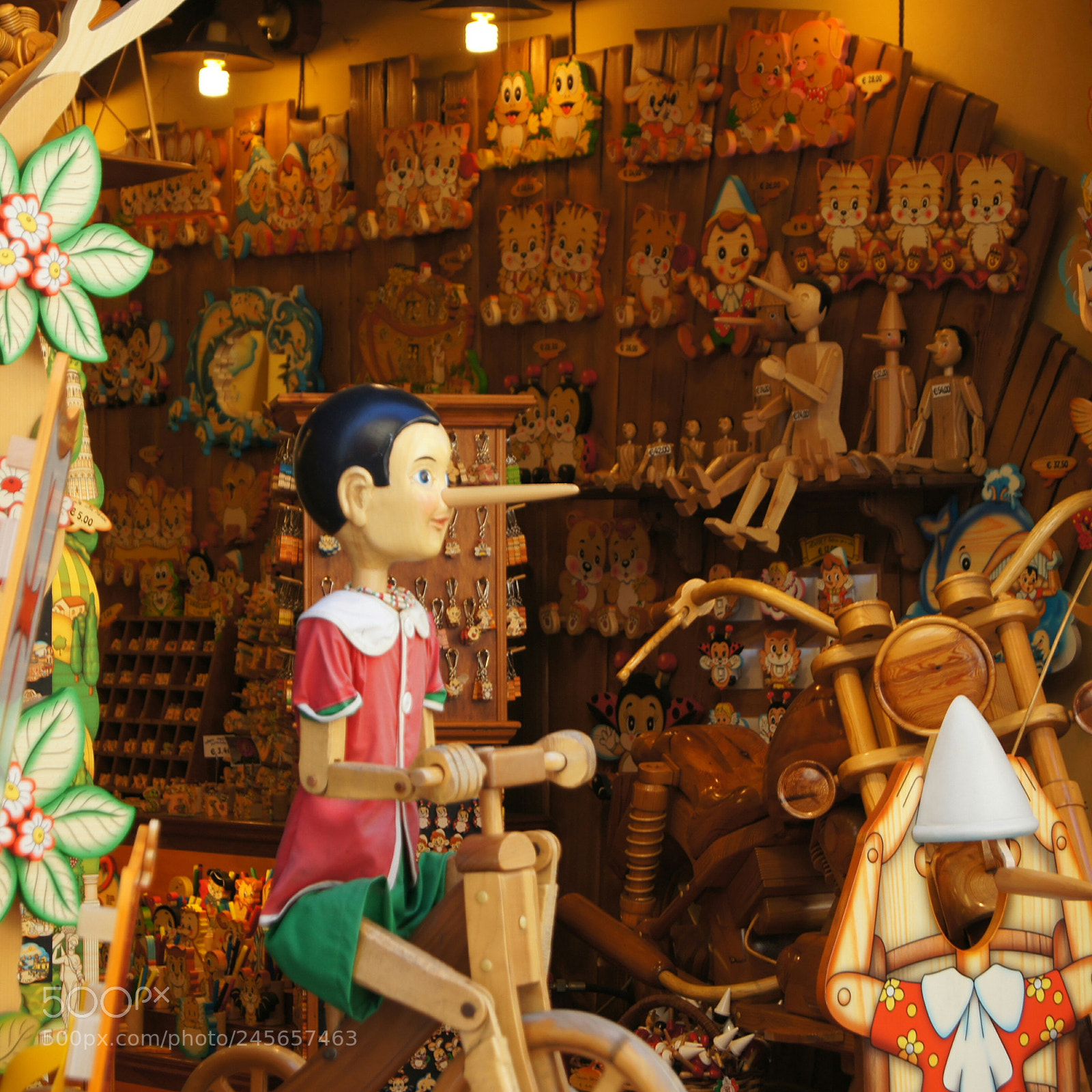 Sony SLT-A55 (SLT-A55V) sample photo. Pinocchio photography