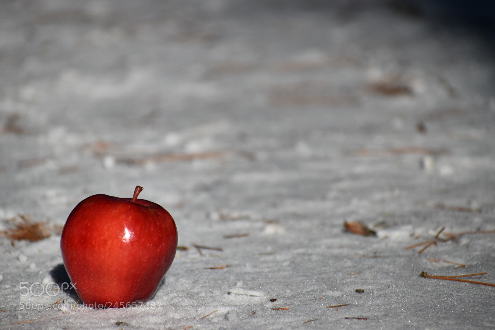 Nikon D5500 sample photo. Apple photography