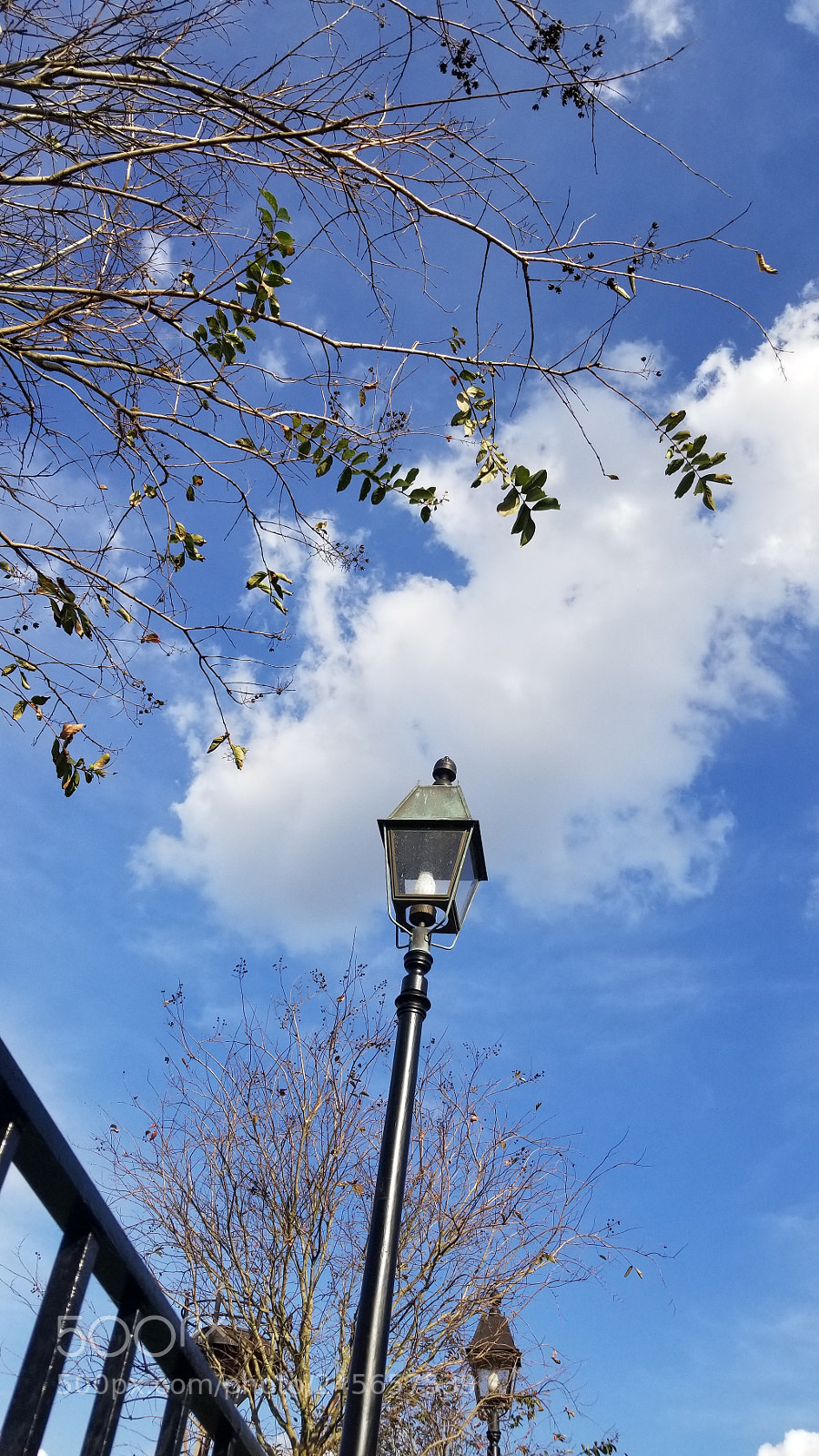 Samsung Galaxy S8+ sample photo. Untitled photography